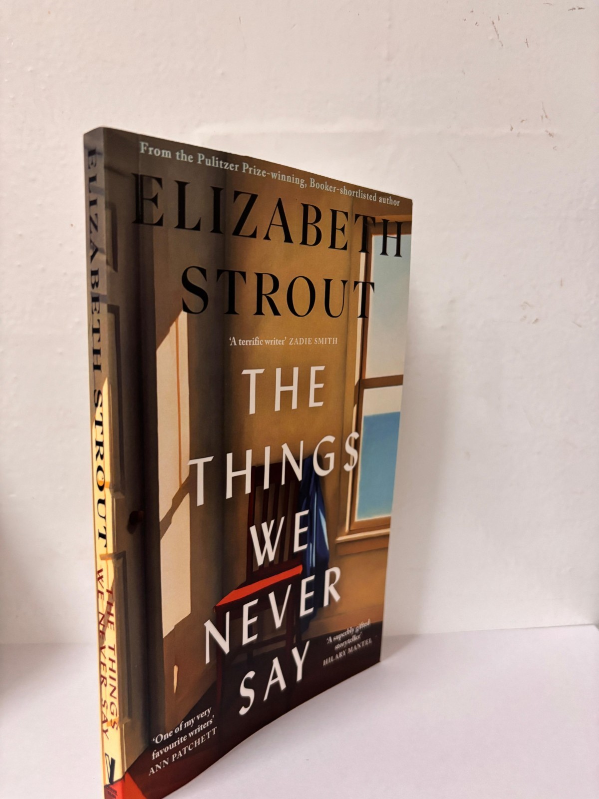 The Things We Never Say by Elizabeth Strout Paperback New Book usa stock