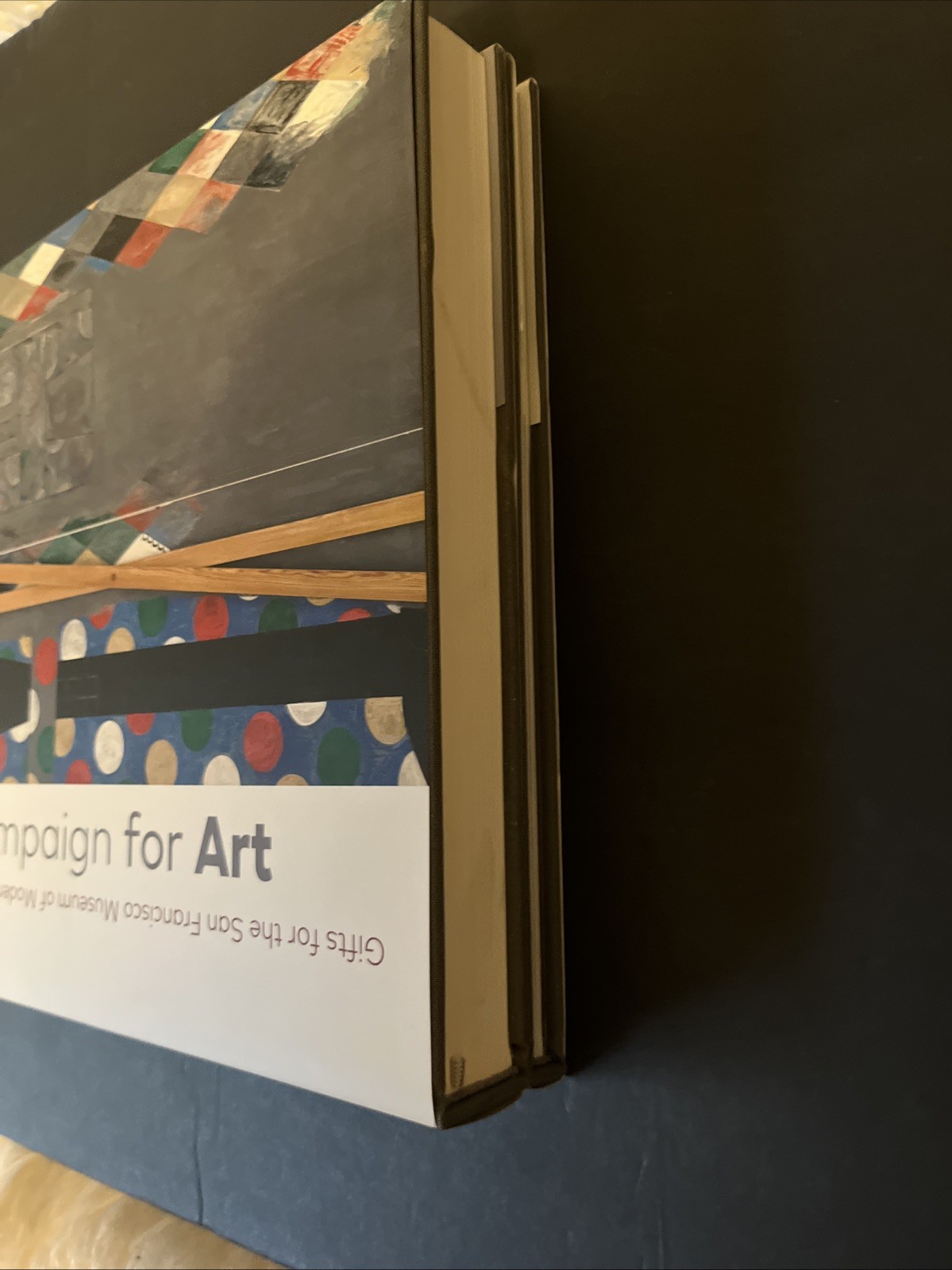 San Francisco MOMA Set Of 2 Books~ For Our Time & Compaign For Art