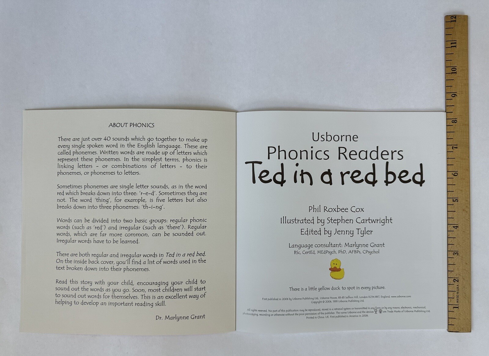 Phonics Readers Children’s Books Beginning Readers Lot 10