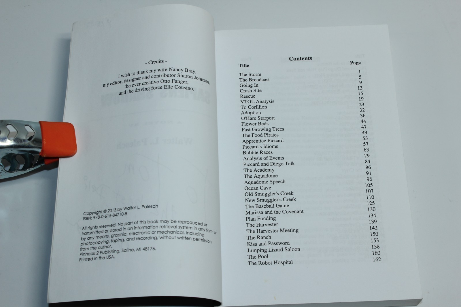 Sapiens’ Shadow by Walter Palesch (2013) SIGNED