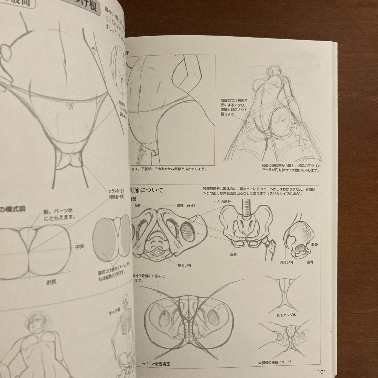 How to Draw a Girl’s Body: Character Bones and Flesh Art Book Illustration