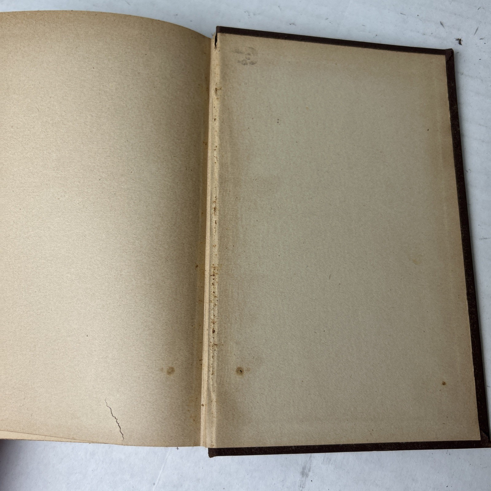 Leather Stocking Tales 4 Volumes The Pathfinder the Pioneers the Prairie the Dee