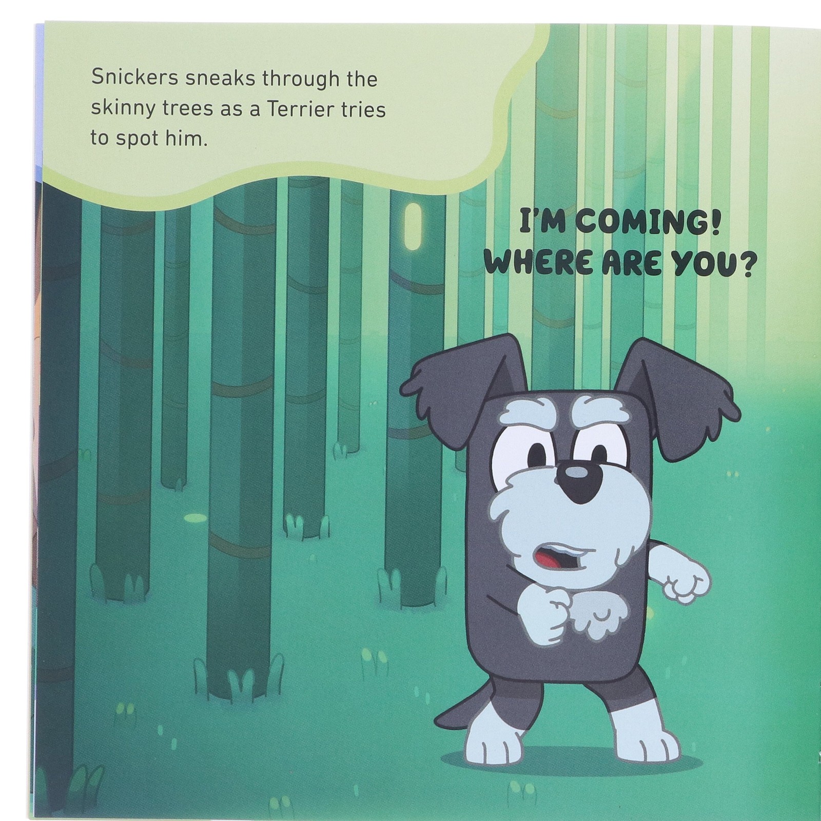 Bluey Gotta Be Done! 10 Picture Books Collection Box Set – Ages 3-7 – Paperback