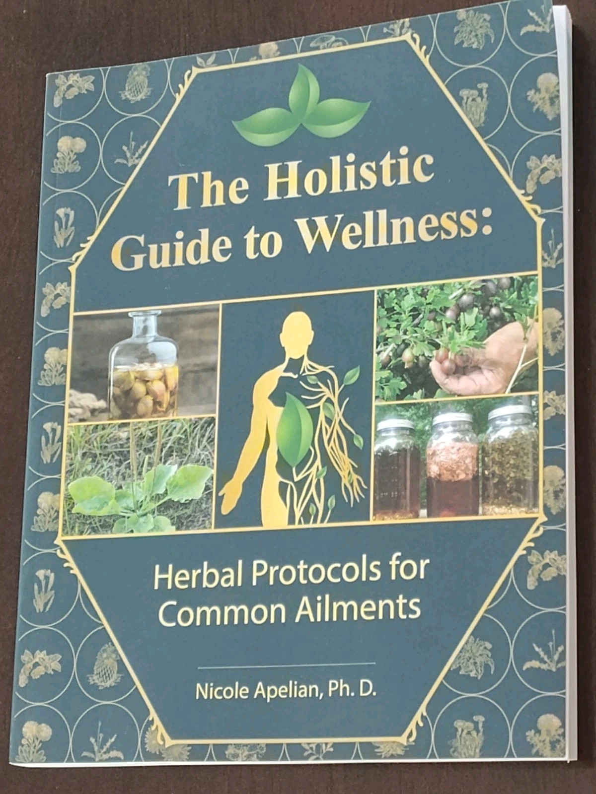 The Holistic Guide to Wellness Herbal Protocols Common Ailments Nicole Apelian