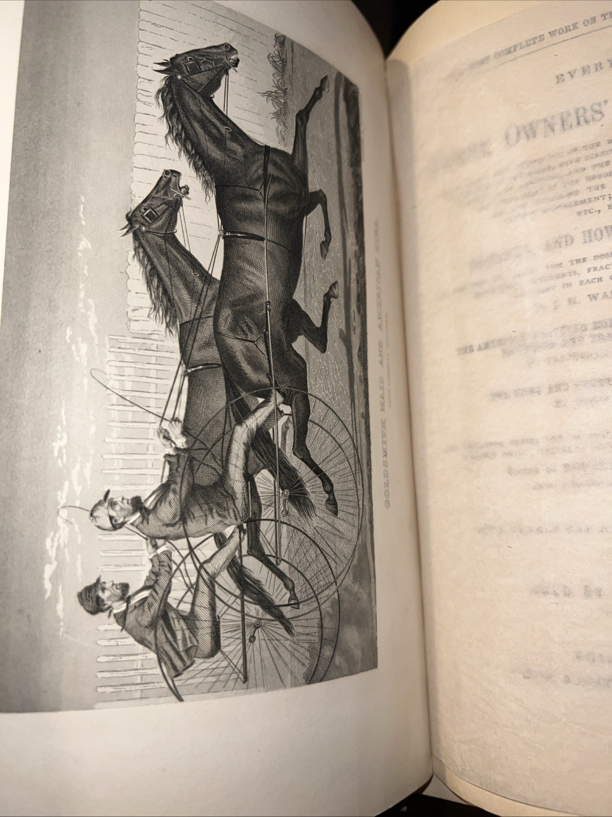 Every Horse Owners’ Cyclopedia – Diseases, And How To Cure Them 1875 & 1971