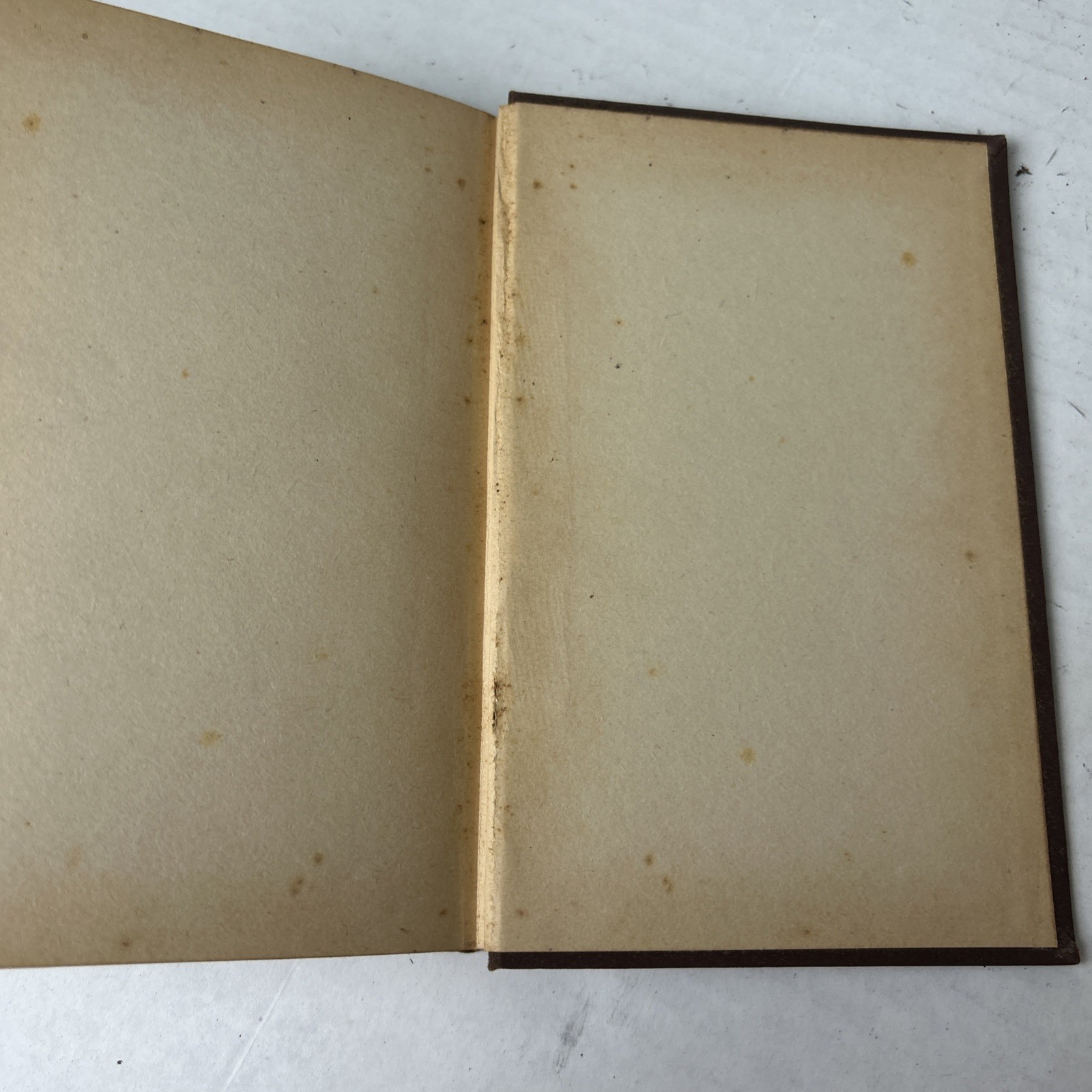 Leather Stocking Tales 4 Volumes The Pathfinder the Pioneers the Prairie the Dee