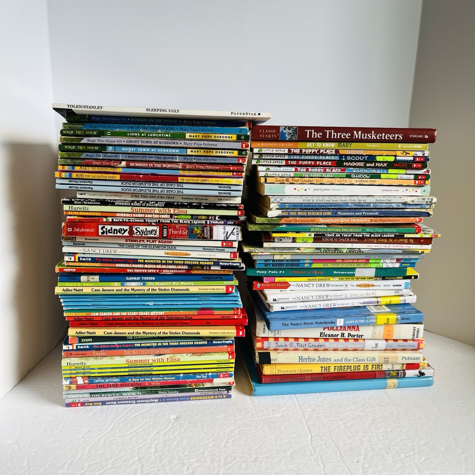 Lot of 10 Chapter Books Mixed Lot 2nd 3rd Grade Fiction Classroom Library Set