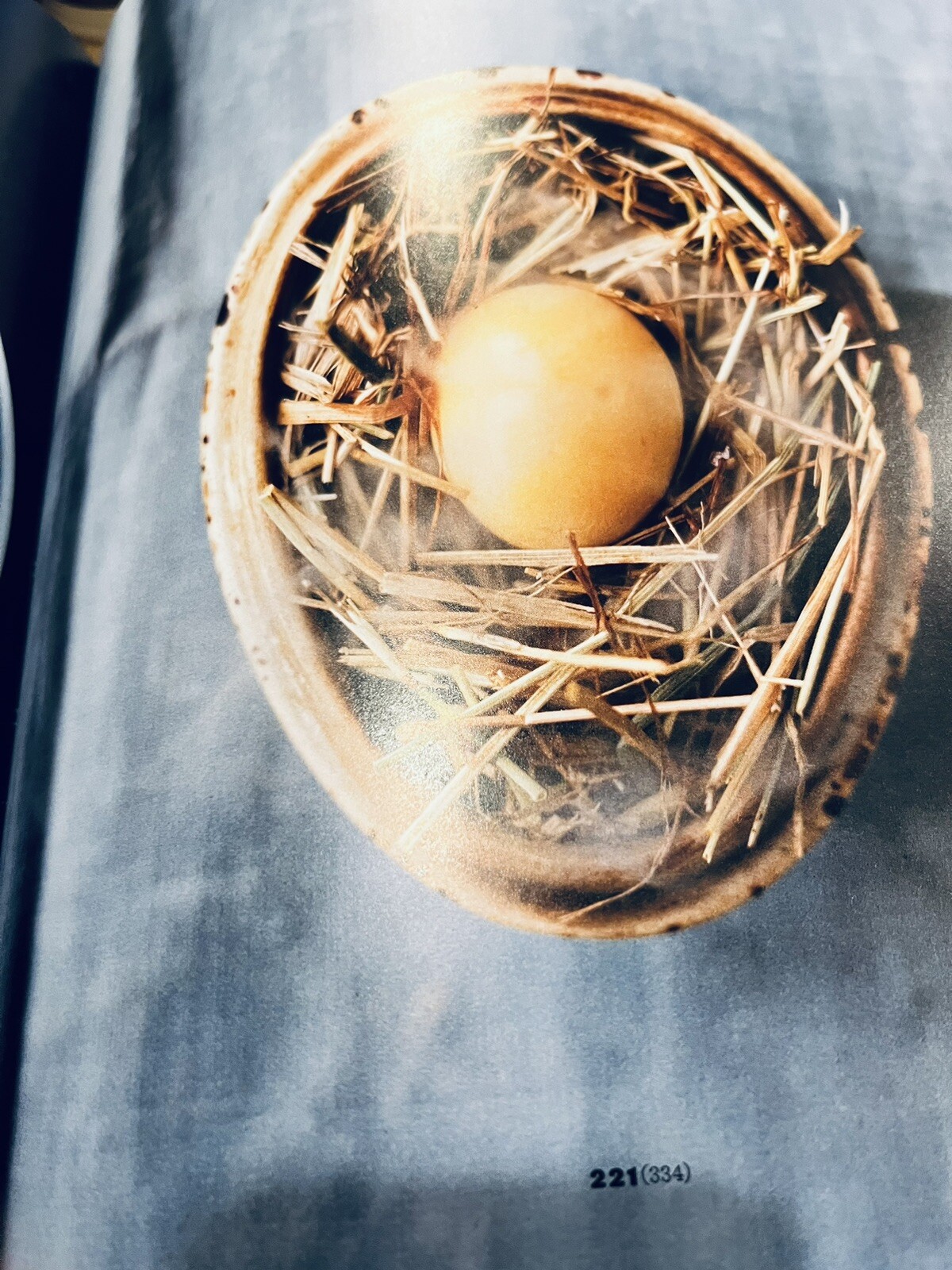 NOMA: Time & Place in Nordic Cuisine; Brand New, 367 pages.