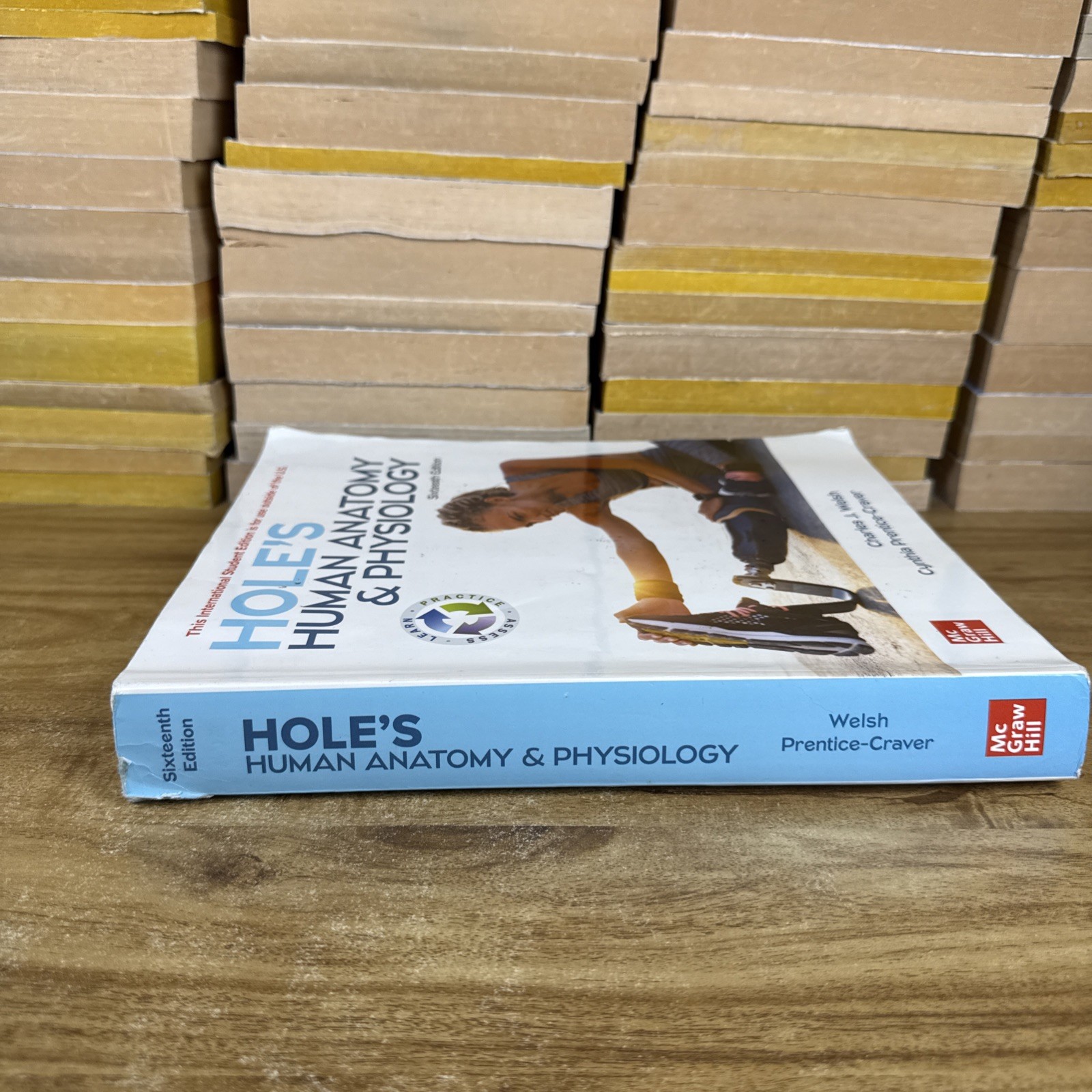 ISE Hole’s Human Anatomy & Physiology 16th Edition Paperback Acceptable