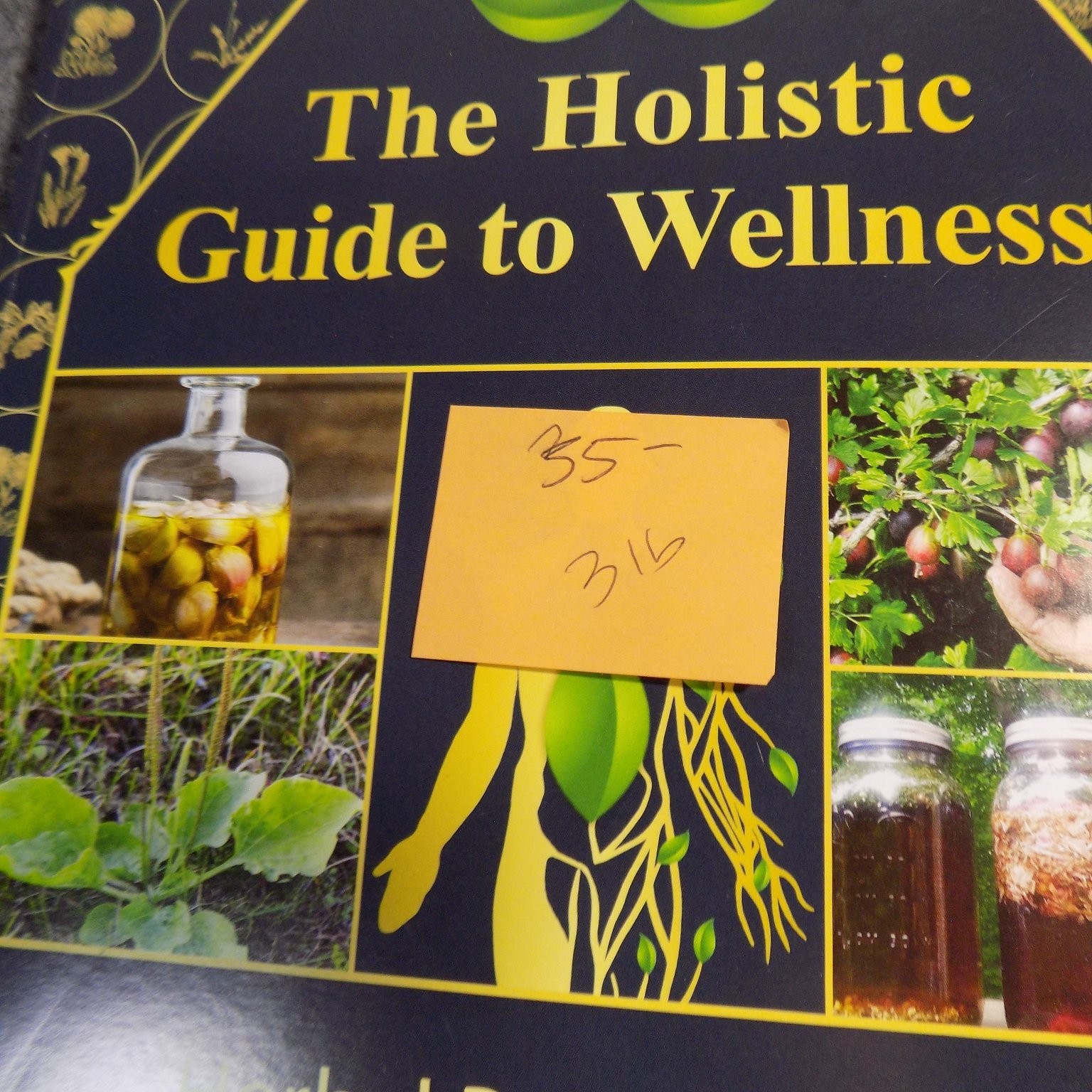 The Holistic Guide to Wellness Apelian 2024 Herbal Protocols Naturopathy Global
