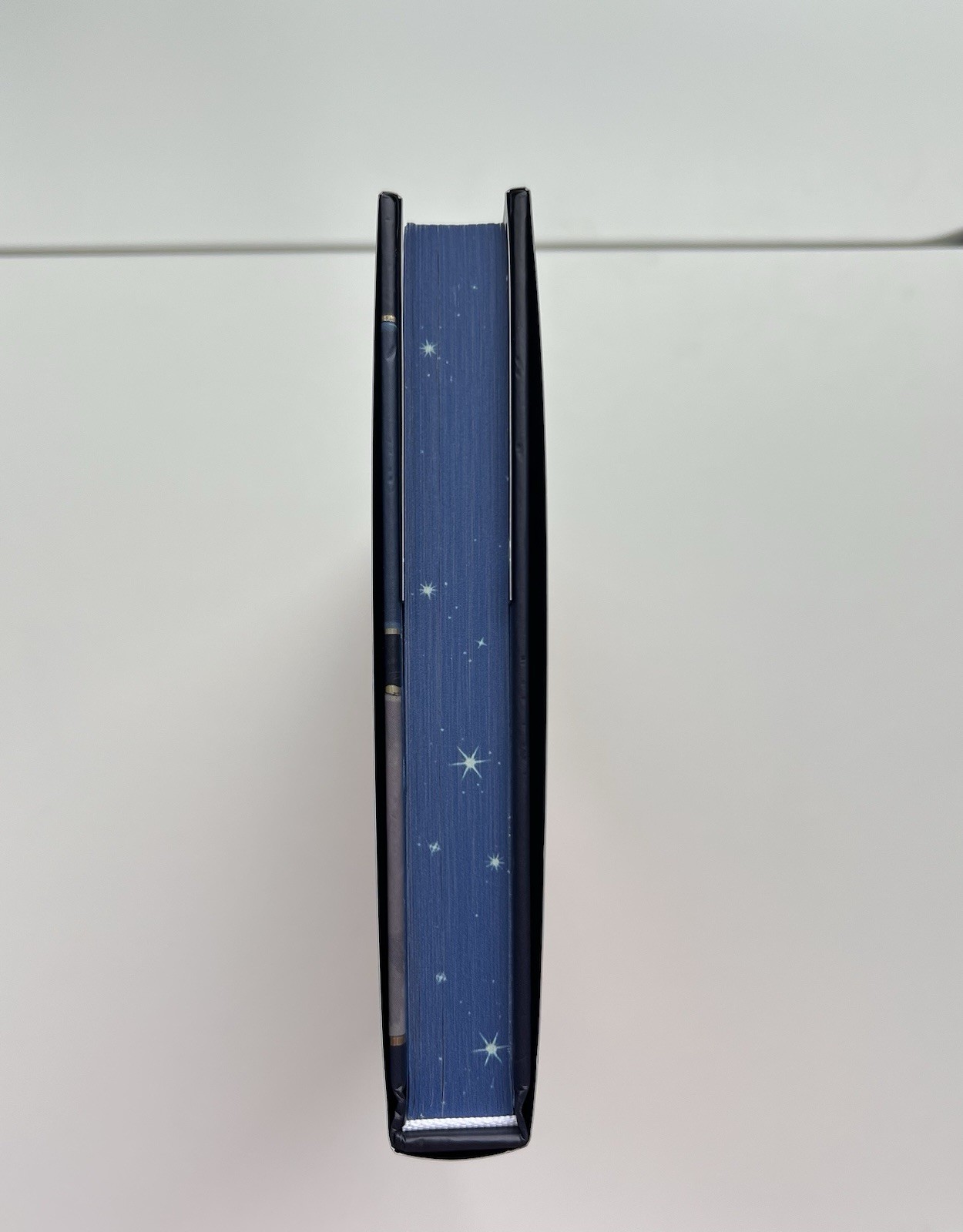 BooksforDaysCrate – Ruckus by L.J. Shen
