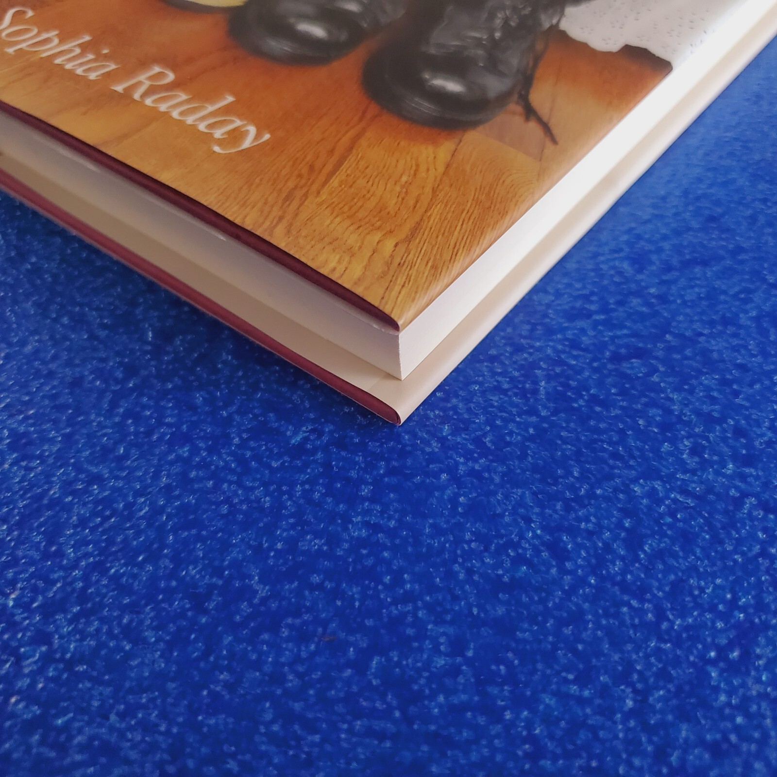 LOVE IN CONDITION YELLOW: A MEMOIR OF AN UNLIKELY MARRIAGE HARDCOVER SHIPS FREE