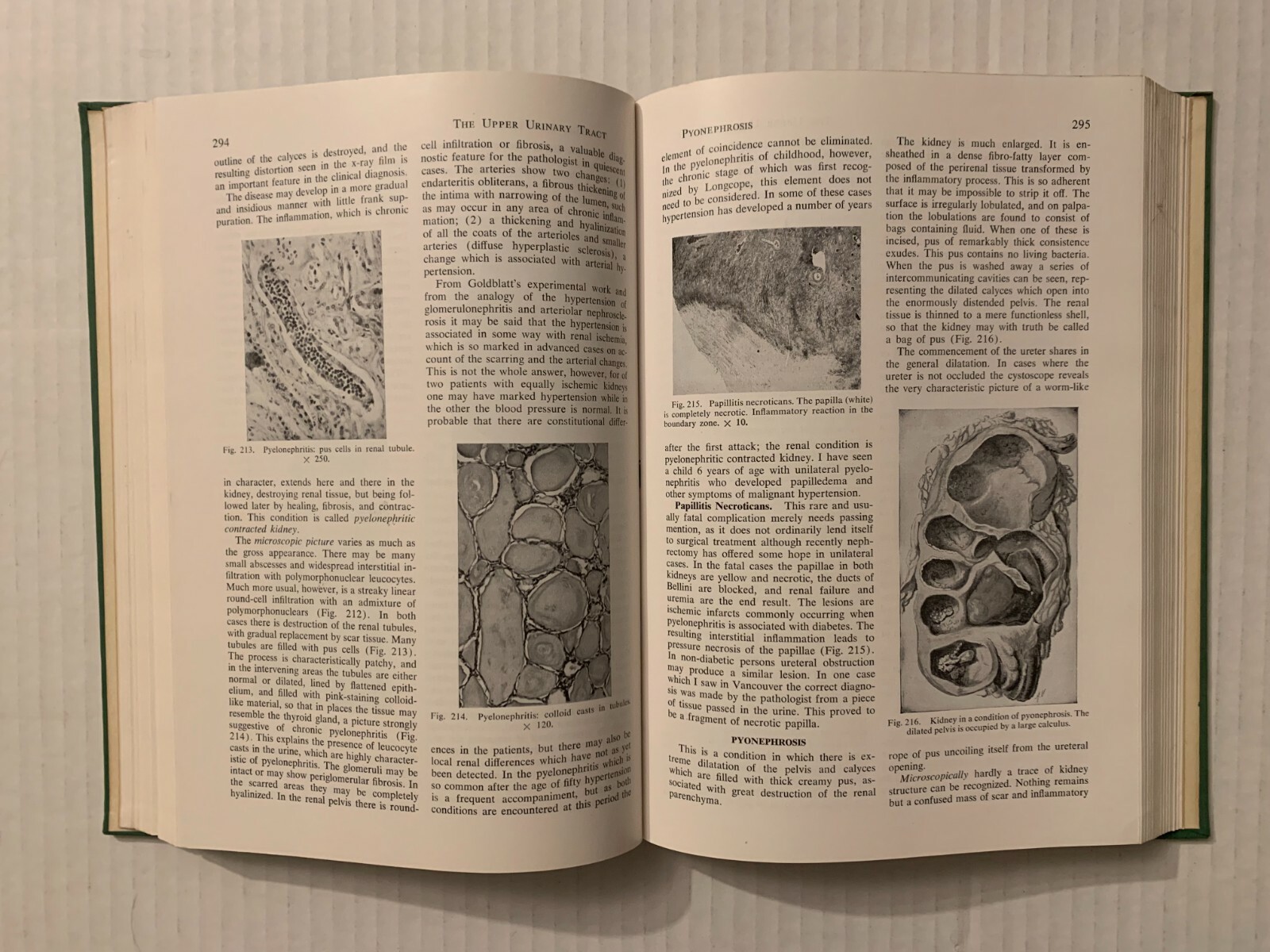 Vtg 1955 Hardcover Pathology for the Surgeon William Boyd 7th Edition Saunders