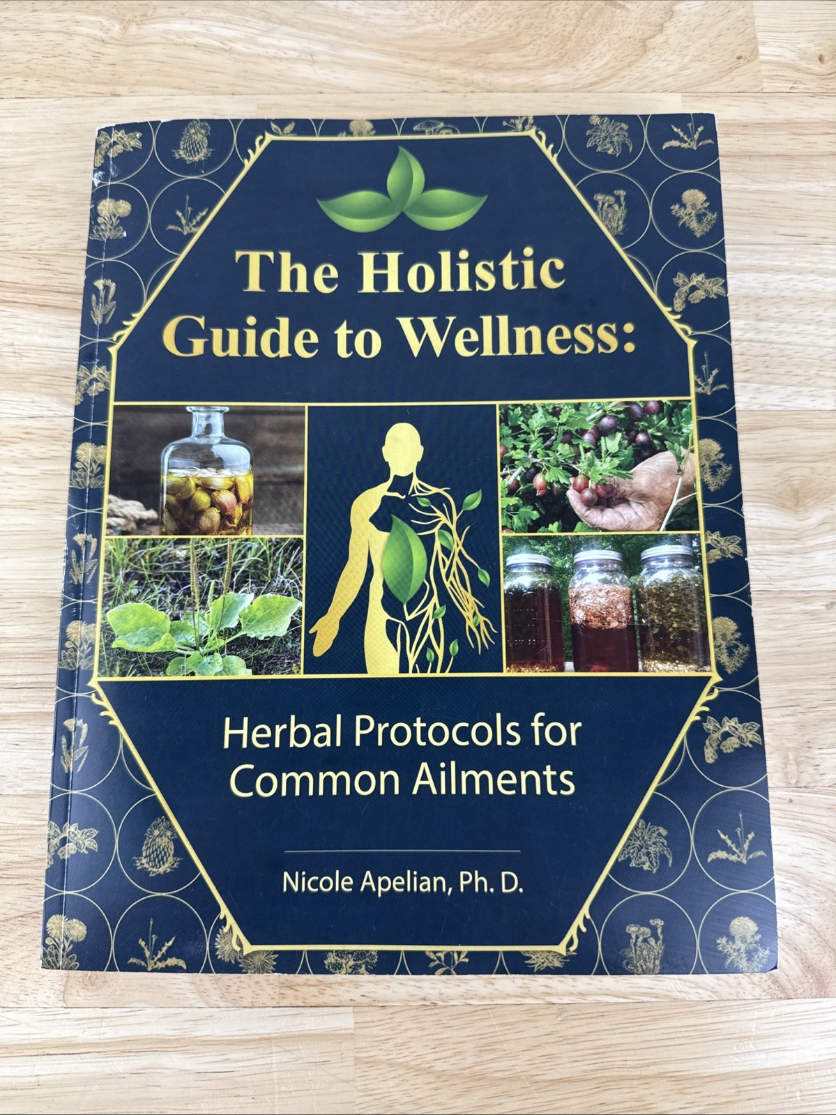 The Holistic Guide to Wellness by Nicole Apelian English Paperback Book