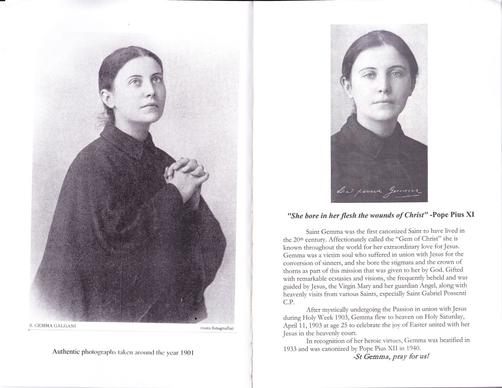 The Autobiography & Diary of St Gemma Galgani with Novena & Prayers -Brand New!