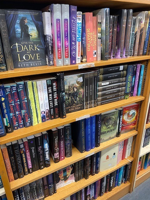 Lot of 10 Young Adult YA Books – Teen Fiction Novels Mixed Genres Bulk Lot