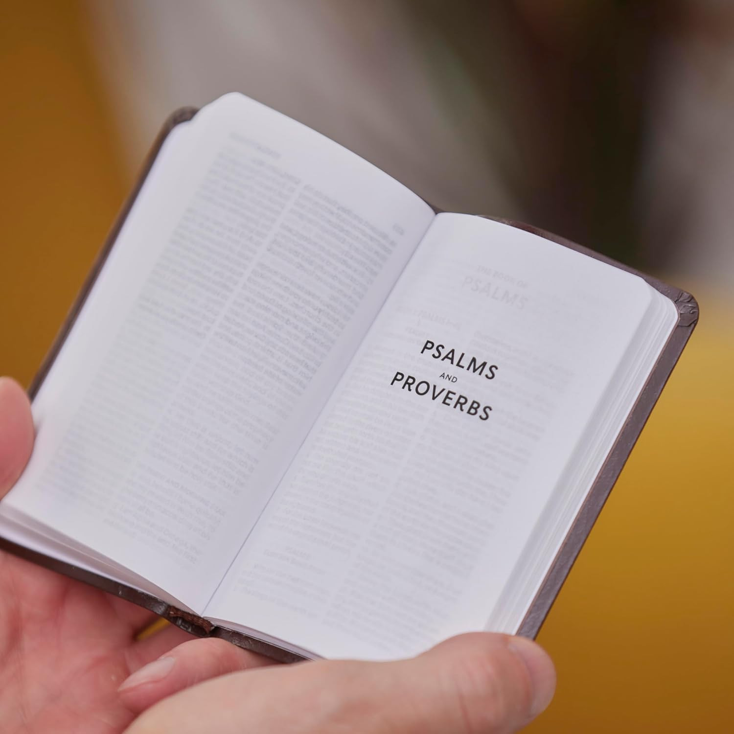 Holy Bible: Pocket New Testament with Psalms and Proverbs, Black, KJV