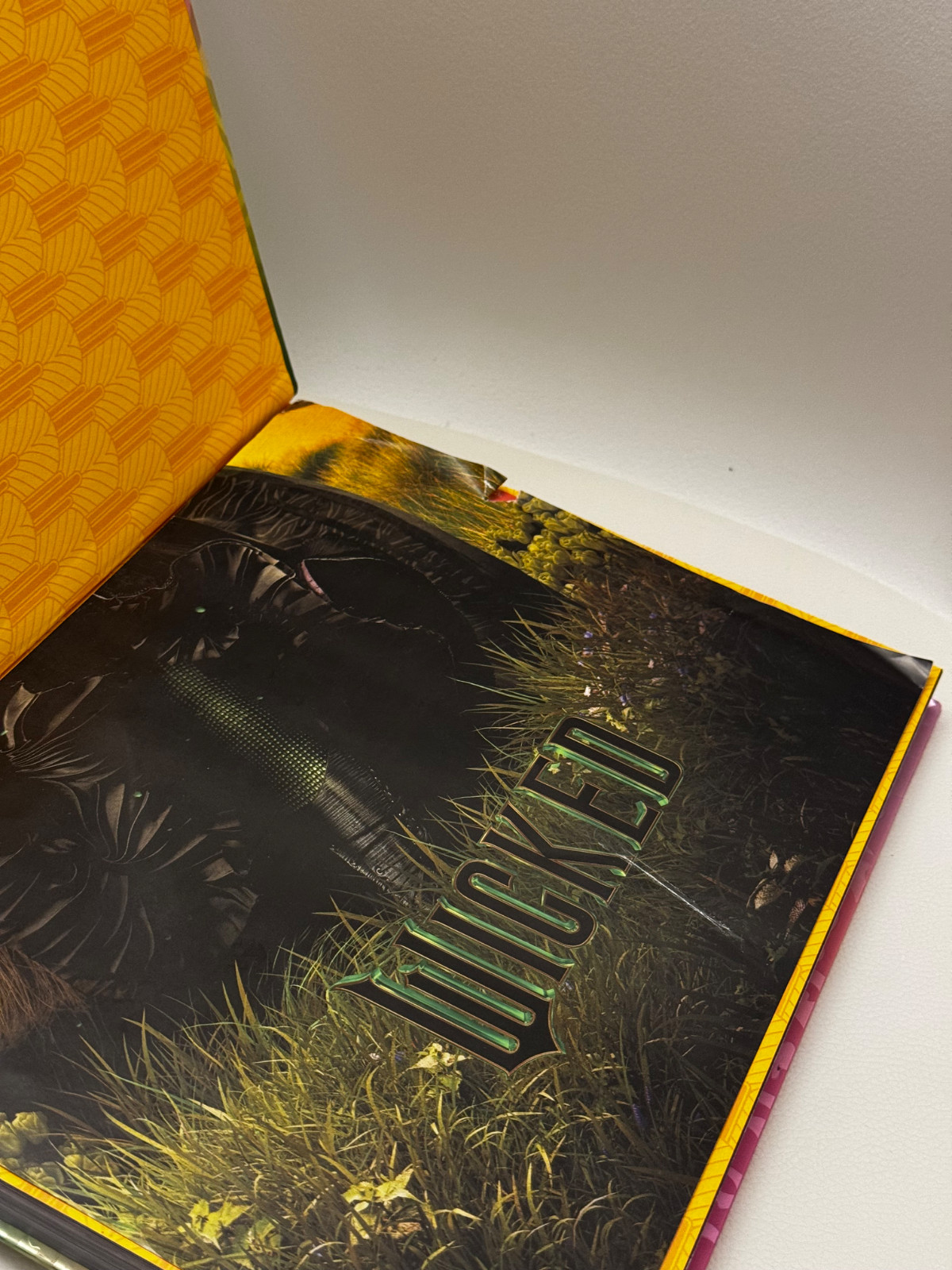 WICKED: THE OFFICIAL VISUAL COMPANION (Hardcover) Target Exclusive NWT