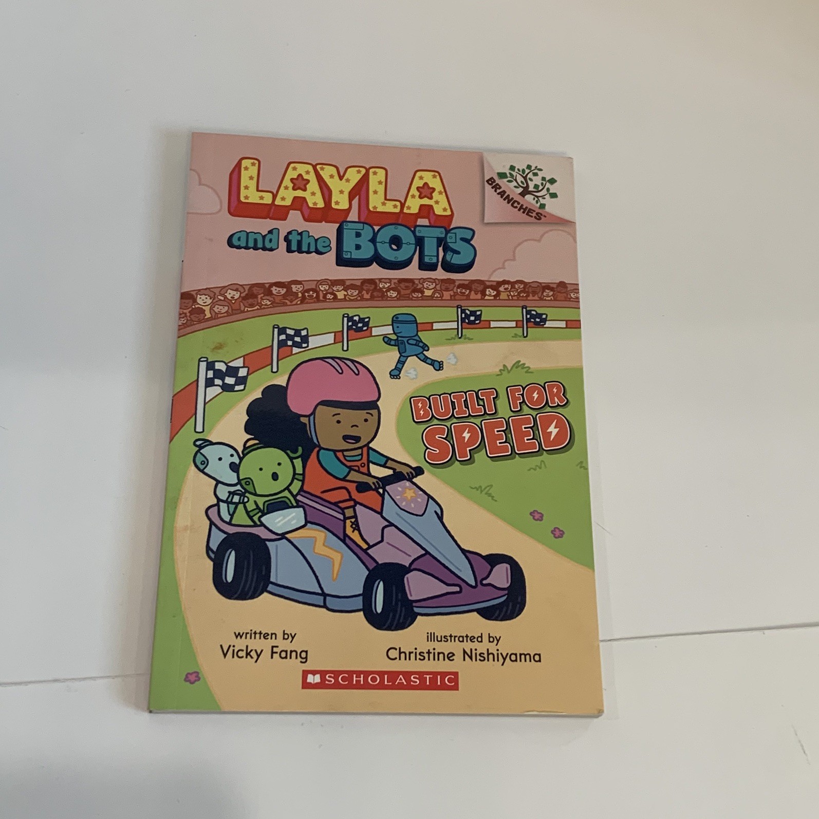 LOT 12 Branches Books Dragon Masters Press Start Layla Once Upon a Fairy Tale