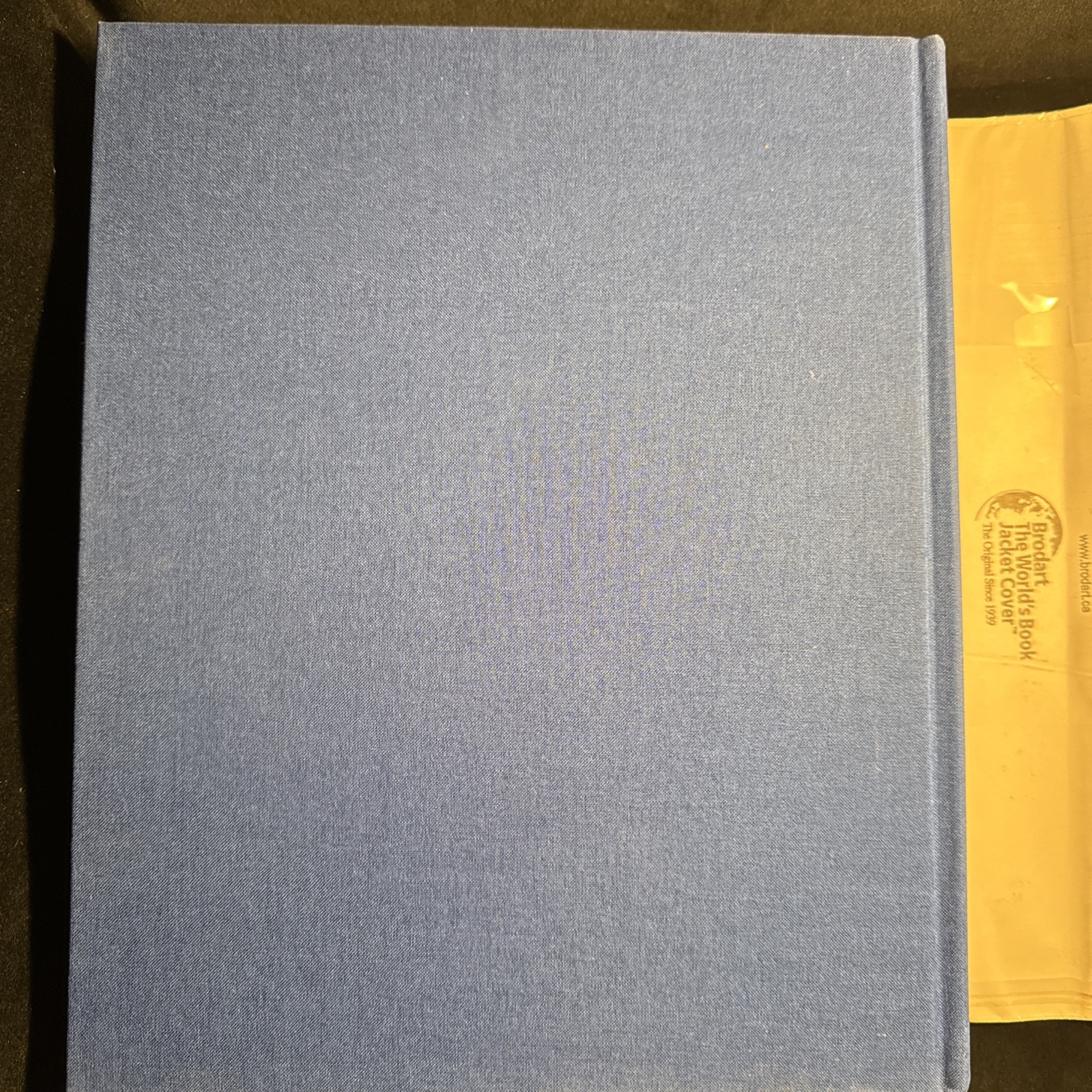 “Paintings in the Vatican” Carlo Pietrangeli 1st Edition HC DJ