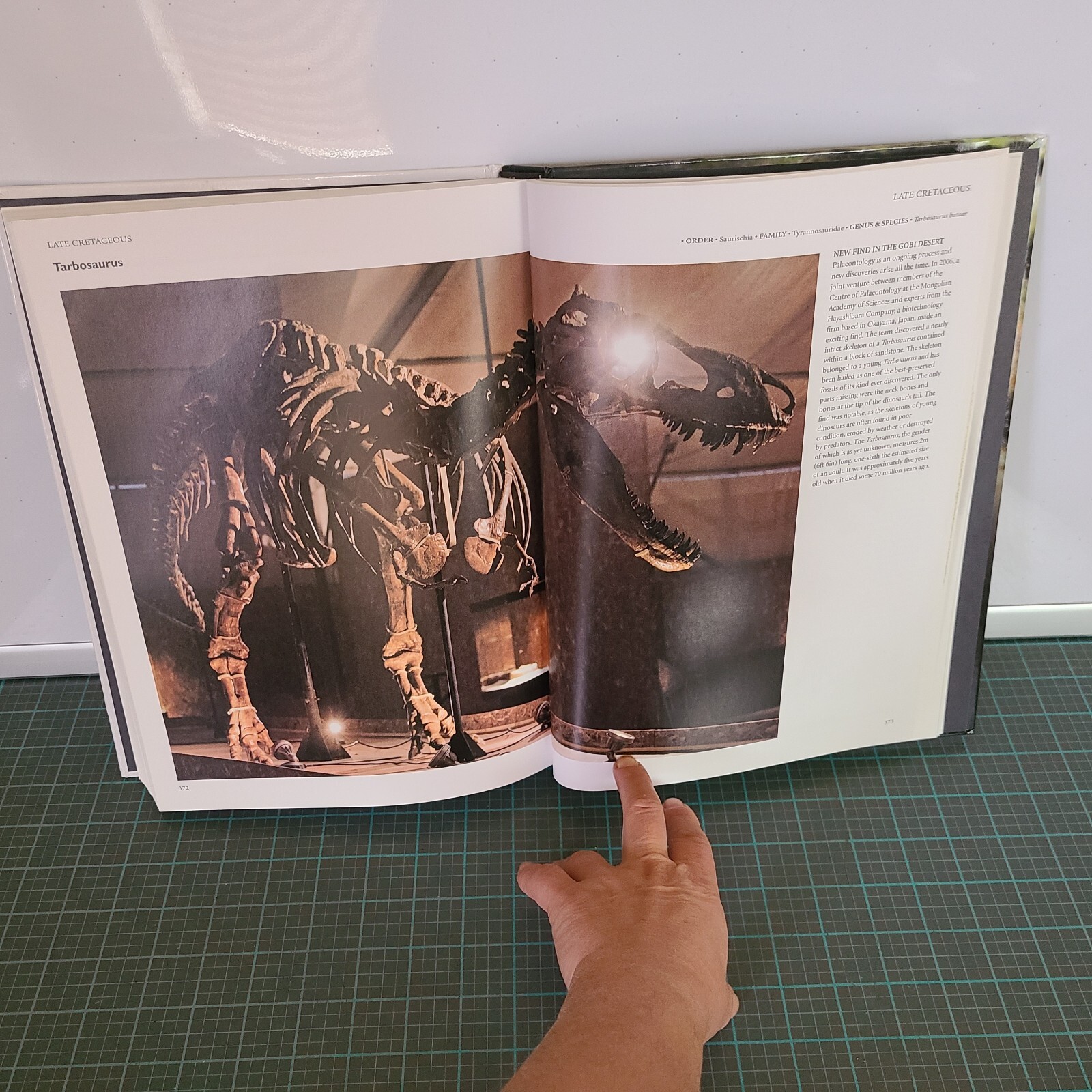 Dinosaurs & Other Prehistoric Animals Book 448 Pages Amber Books
