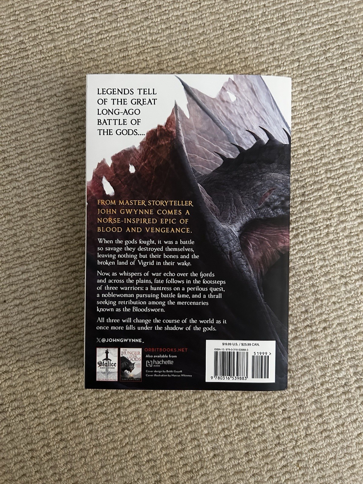 John Gwynne The Shadow of the Gods Bloodsworn Series Book 1 PB Orbit