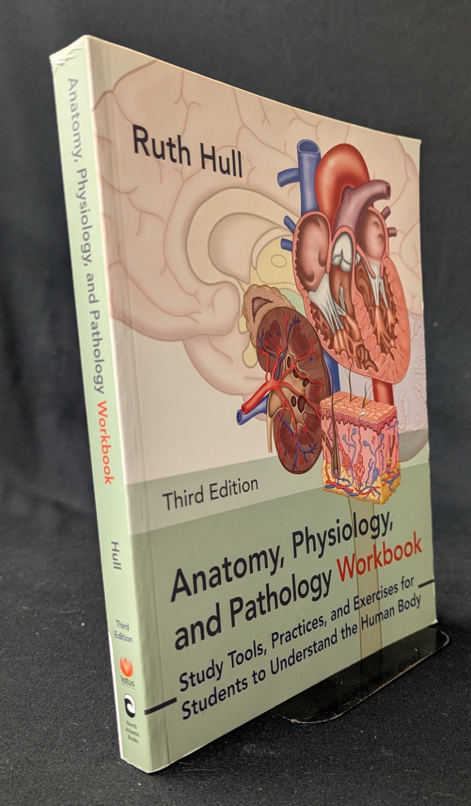 Anatomy, Physiology, and Pathology Workbook, Third Edition, Ruth Hull, mn5352