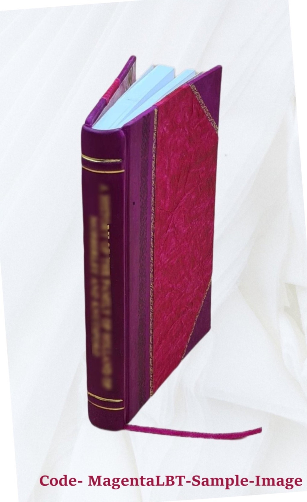 Humanitarianism Its General Principles And Progress 1906 [Leather Bound]