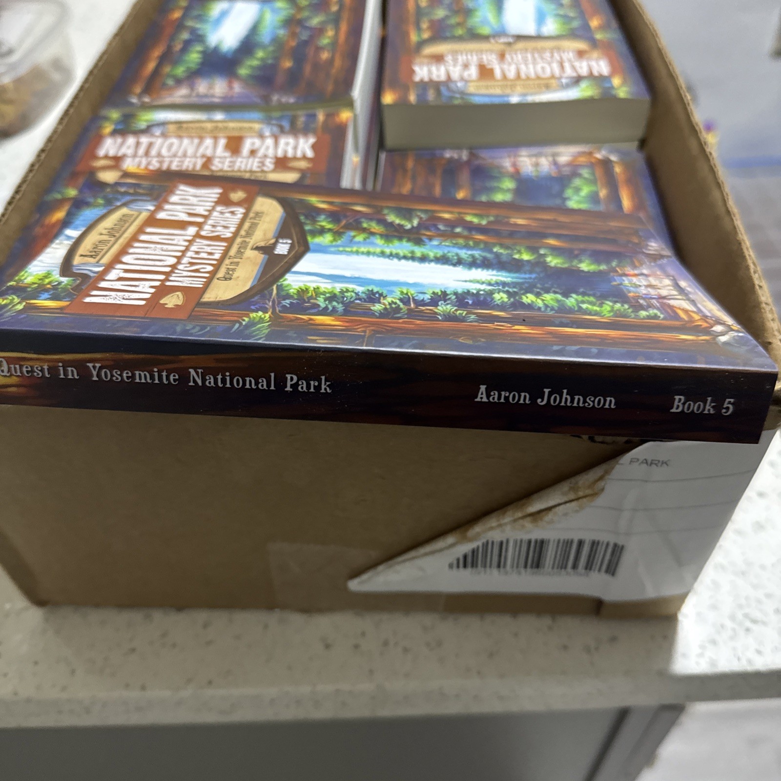 Quest in Yosemite National Park: A Mystery Adventure by Aaron Johnson Paperback