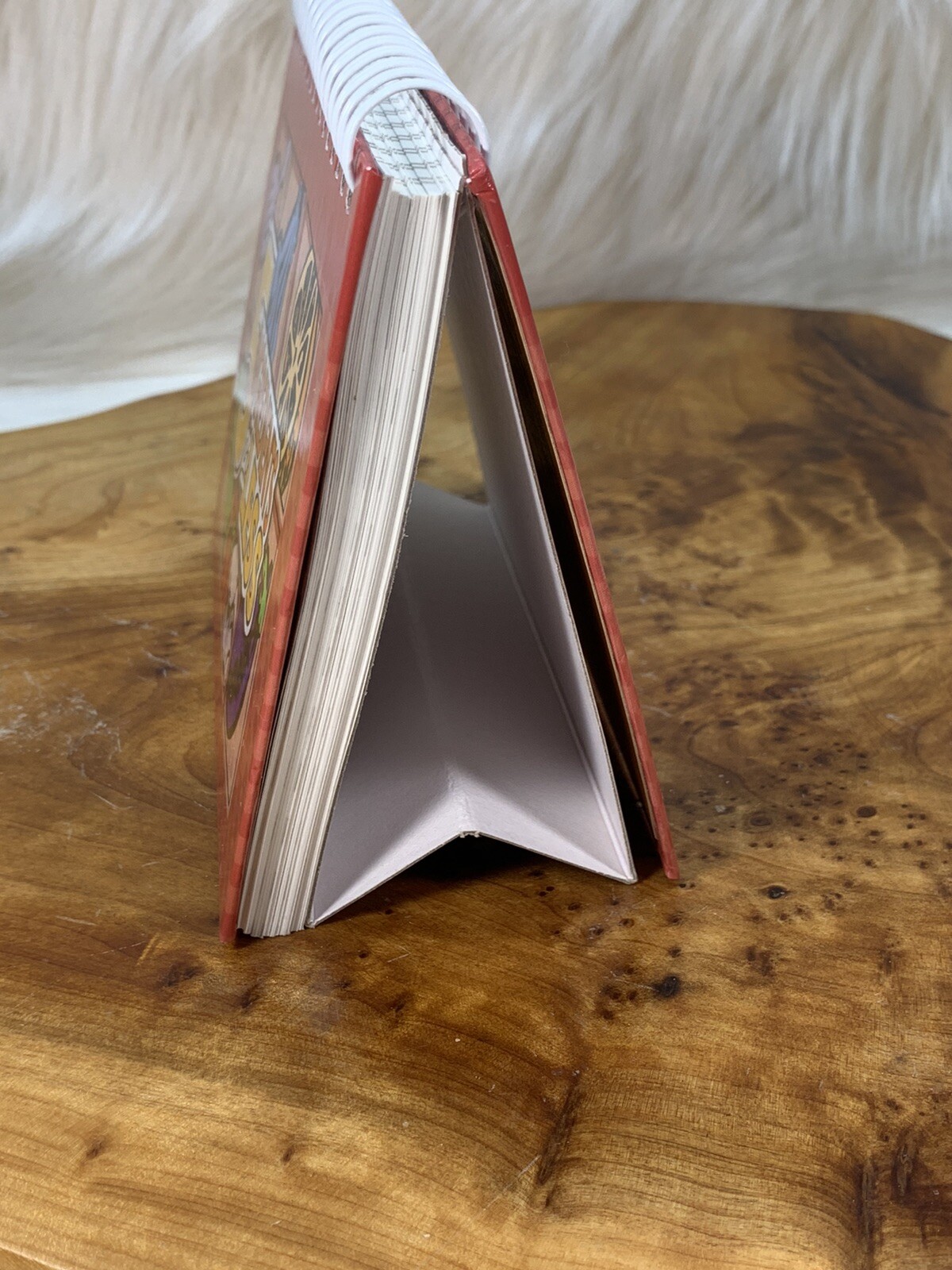 5 Ingredients or Less Cookbook Small Unbranded Quick Meals Counter Stand