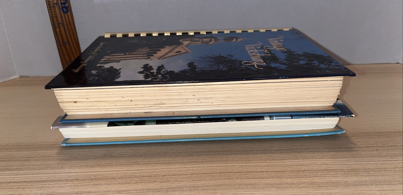 Vintage Mississippi Southern Cookbooks: Taste Of The South and Vintage Vicksburg