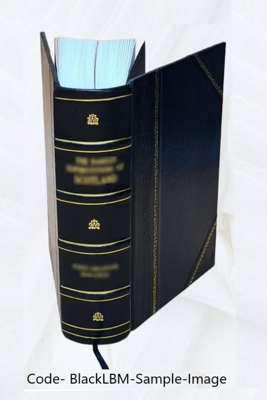 Encyclopaedia Of Superstitions Folklore And The Occult Sciences [Leather Bound]