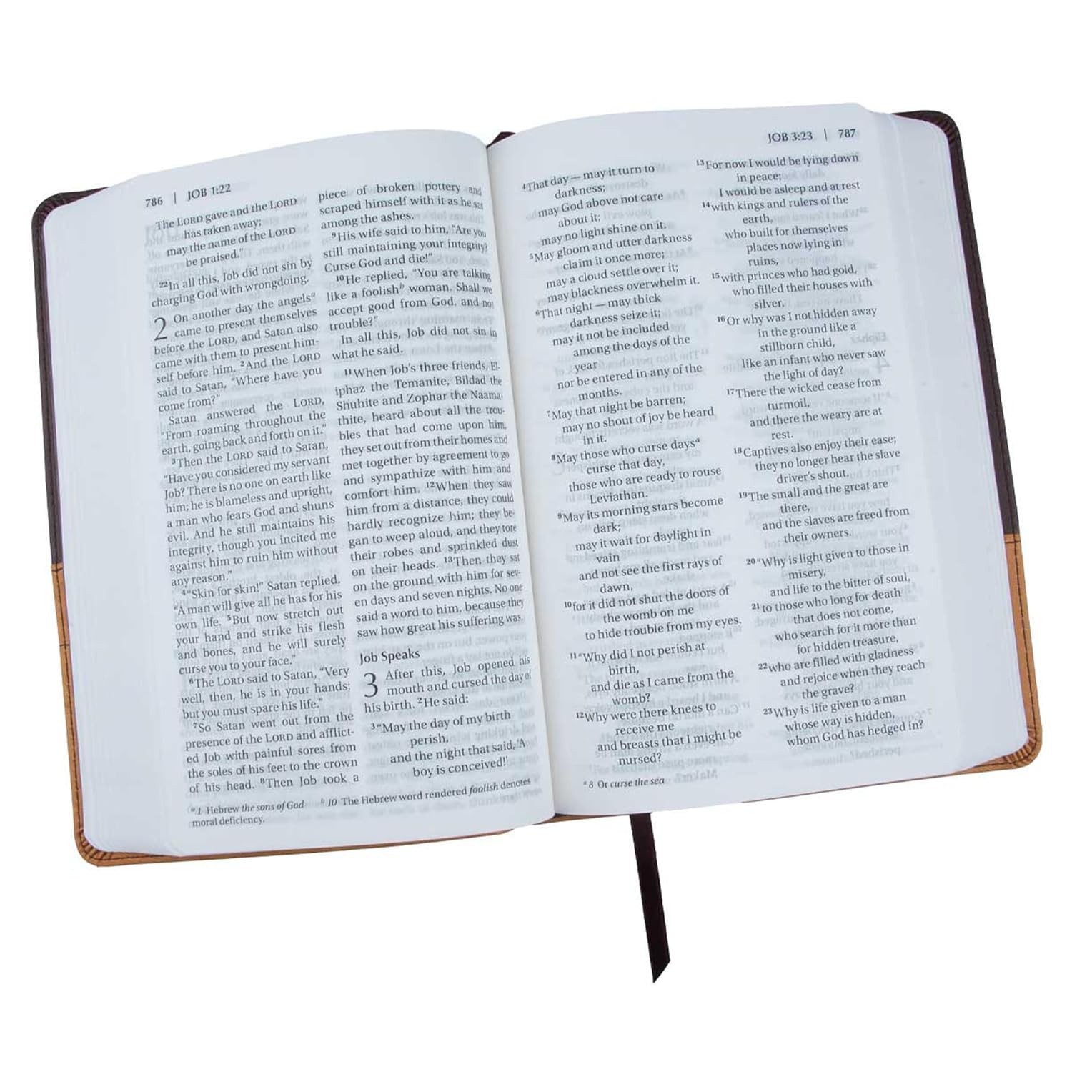 Brand New NIV Large Print Holy Bible Leather Soft Chocolate Amber Zondervan