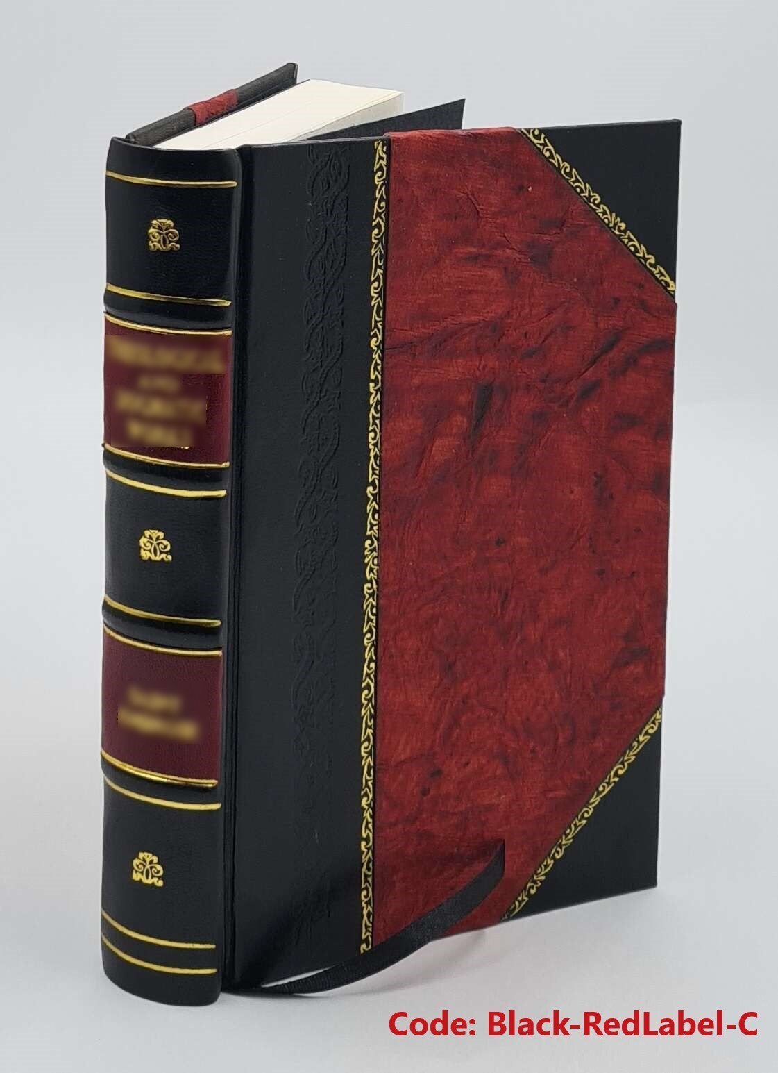 Iulianos der Abtruennige: Syrische Erzaehlungen (Julian the Apos [Leather Bound]
