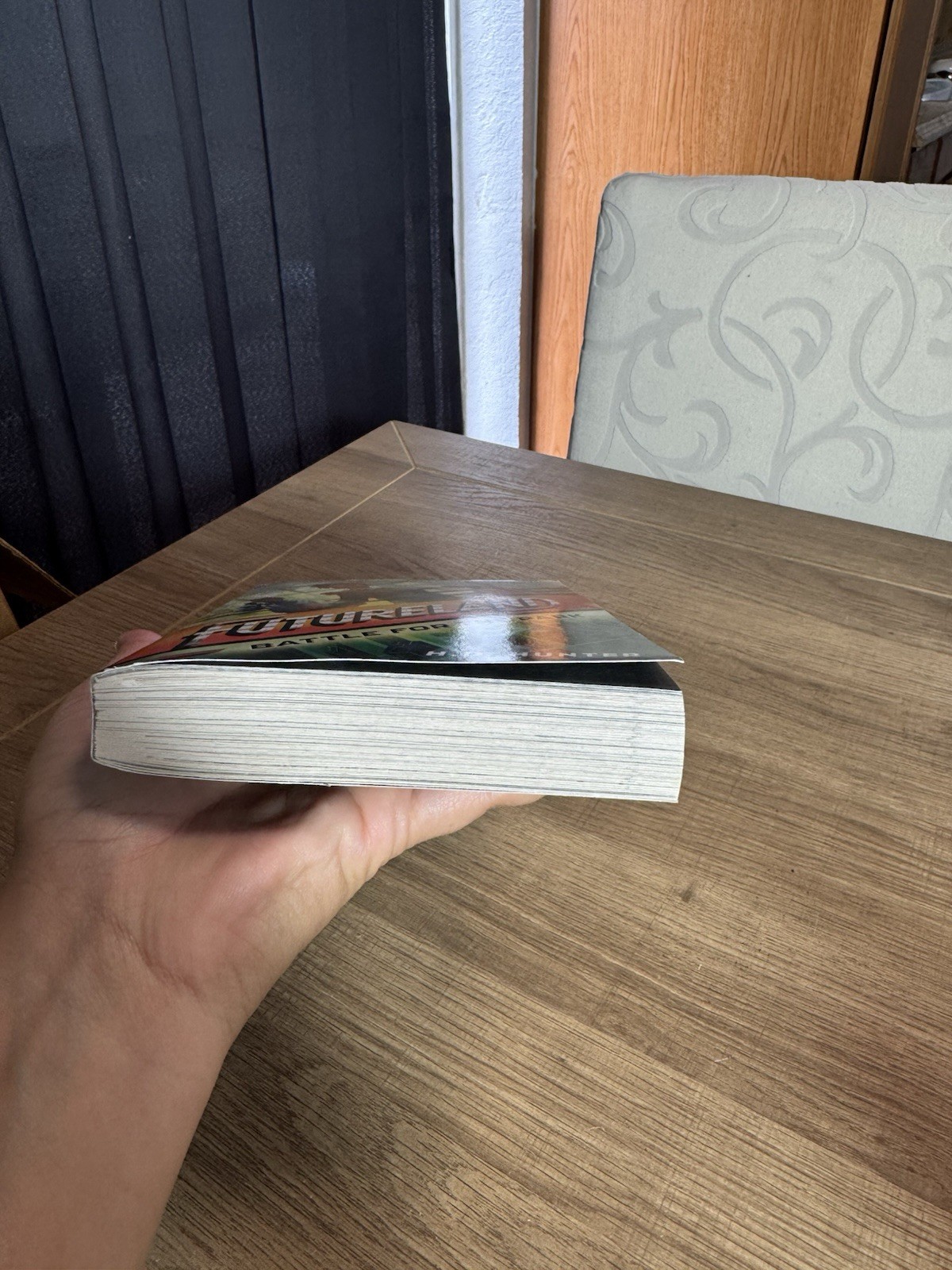 Futureland: Battle for the Park Book 1 by H.D. Hunter Paperback 336 Pages