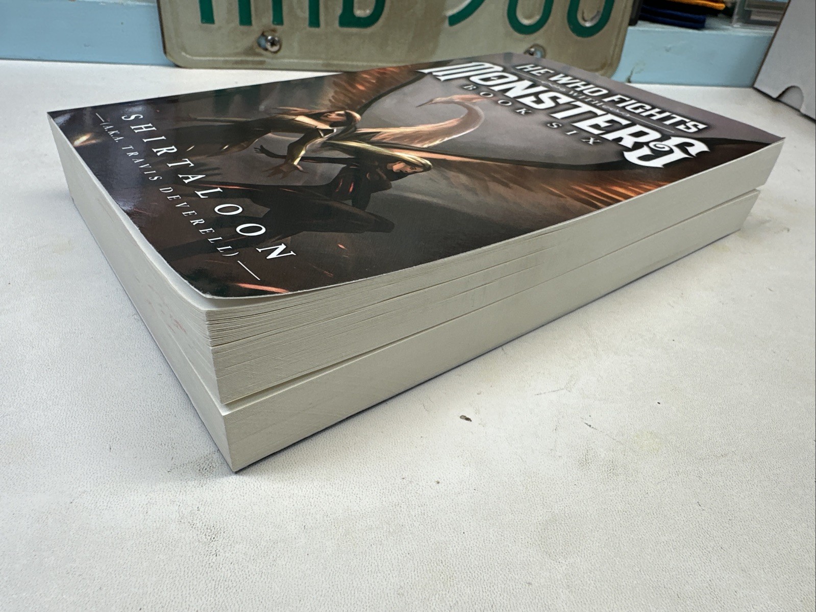 (2) He Who Fights with Monsters 4 & 6: a Litrpg Adventure