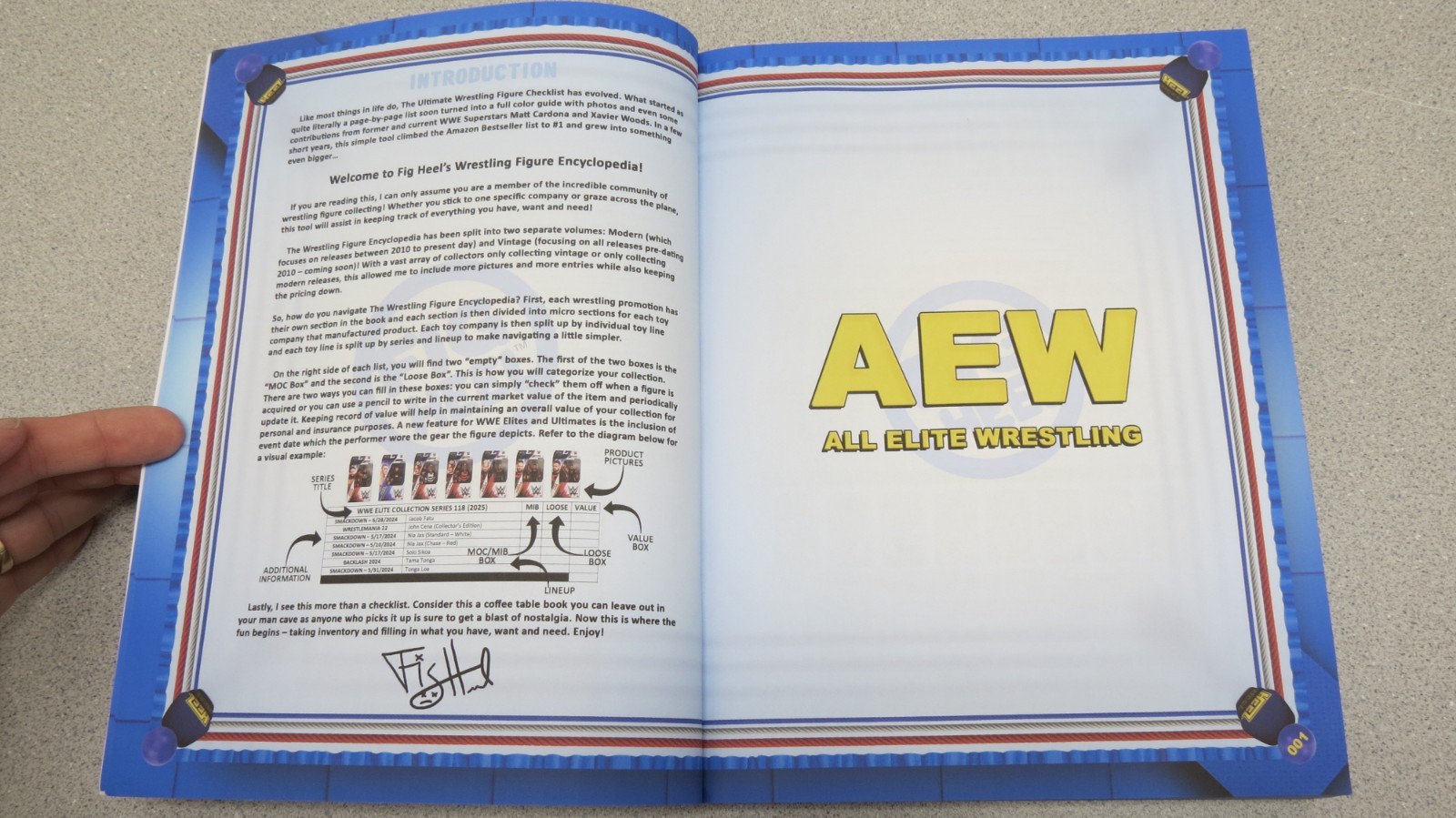 Wrestling Figure Encyclopedia Modern Edition – 2010 to present – Fig Heel 2025