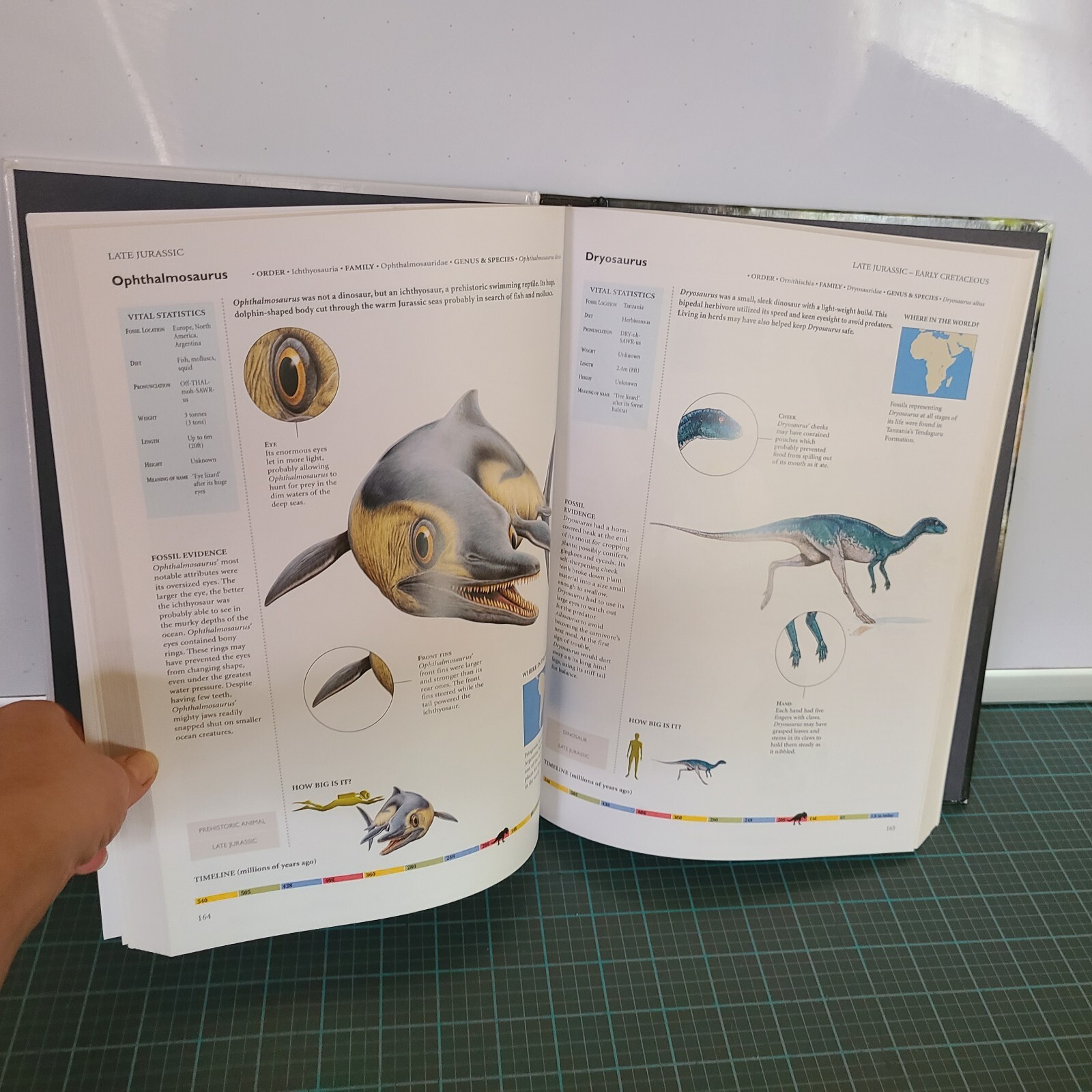 Dinosaurs & Other Prehistoric Animals Book 448 Pages Amber Books