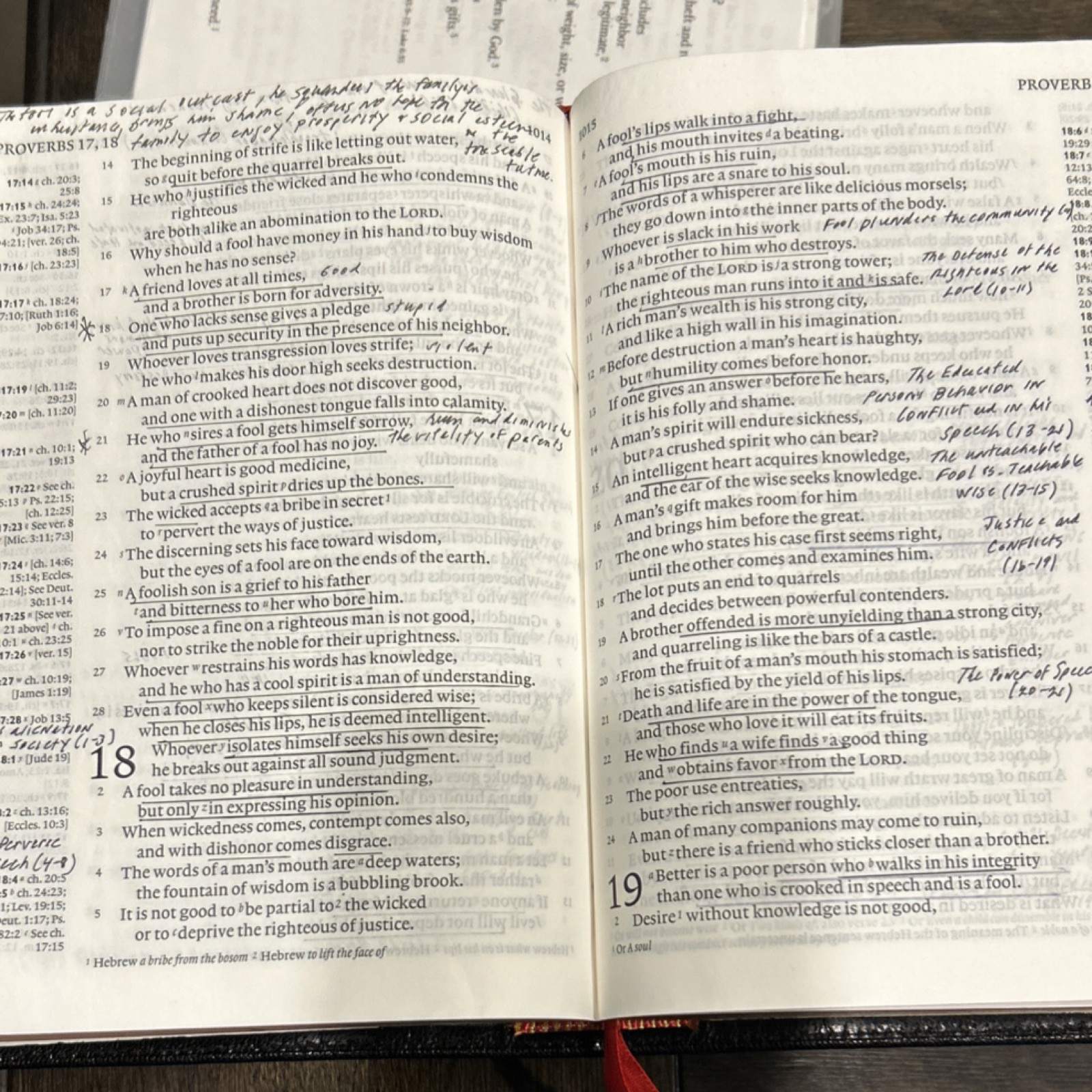 Cambridge Holy Bible English Standard Version Leather Bound Religious Bible