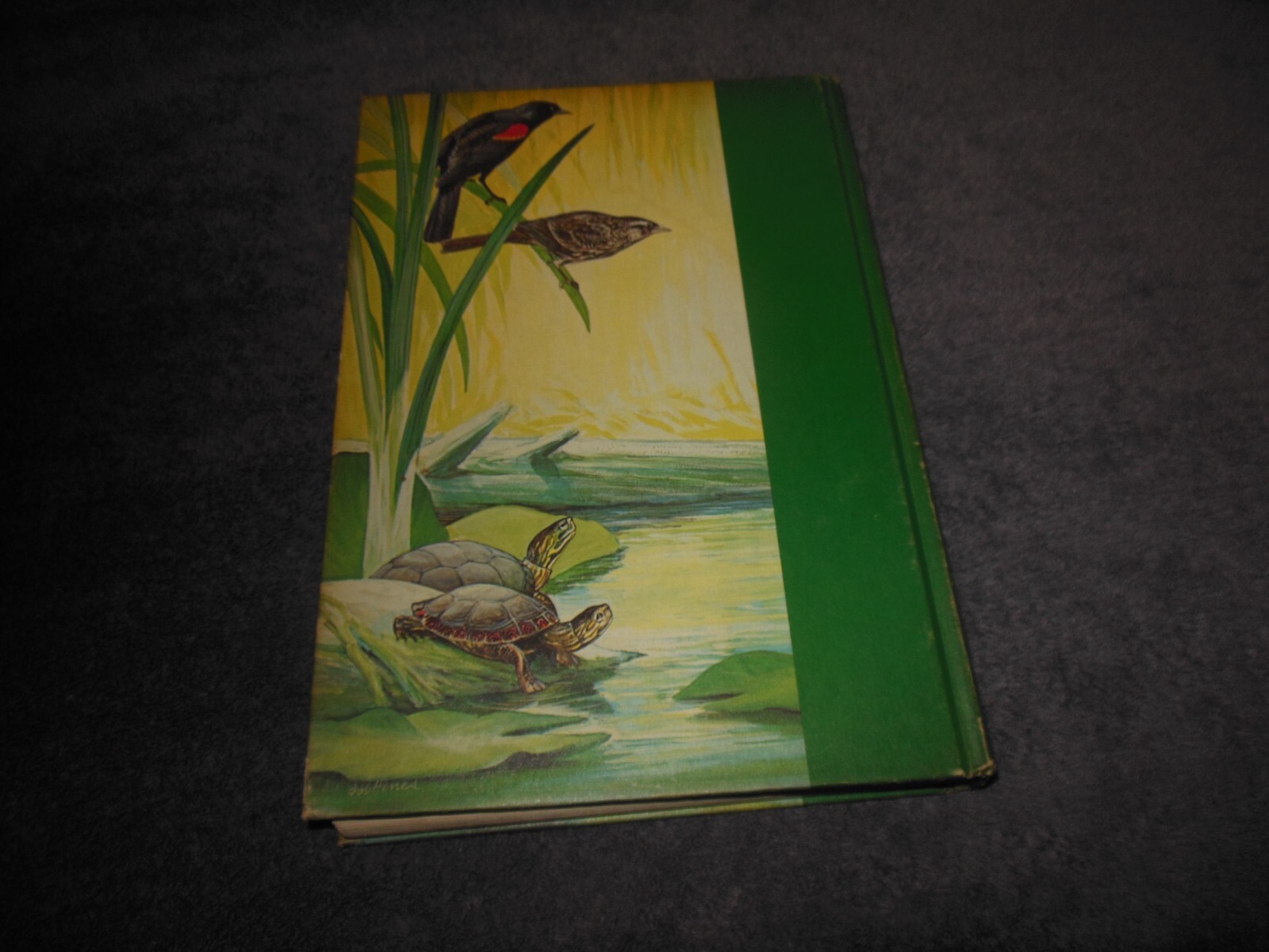 Sport Fishing USA Book US Department Of The Interior 1971 Hard Cover 464 Pages