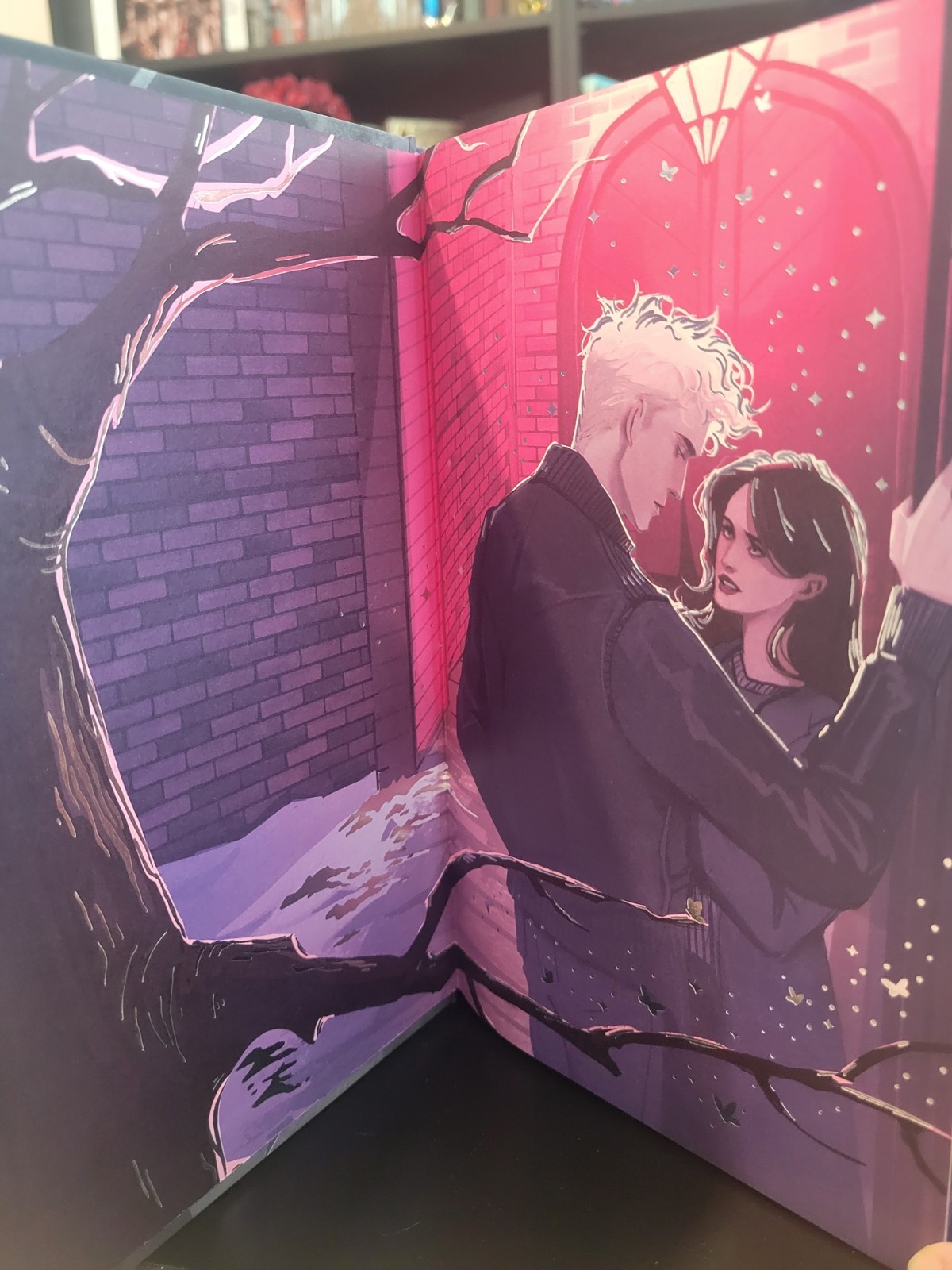 Death’s Daughter by S. A. Barnes Fairyloot Special Edition