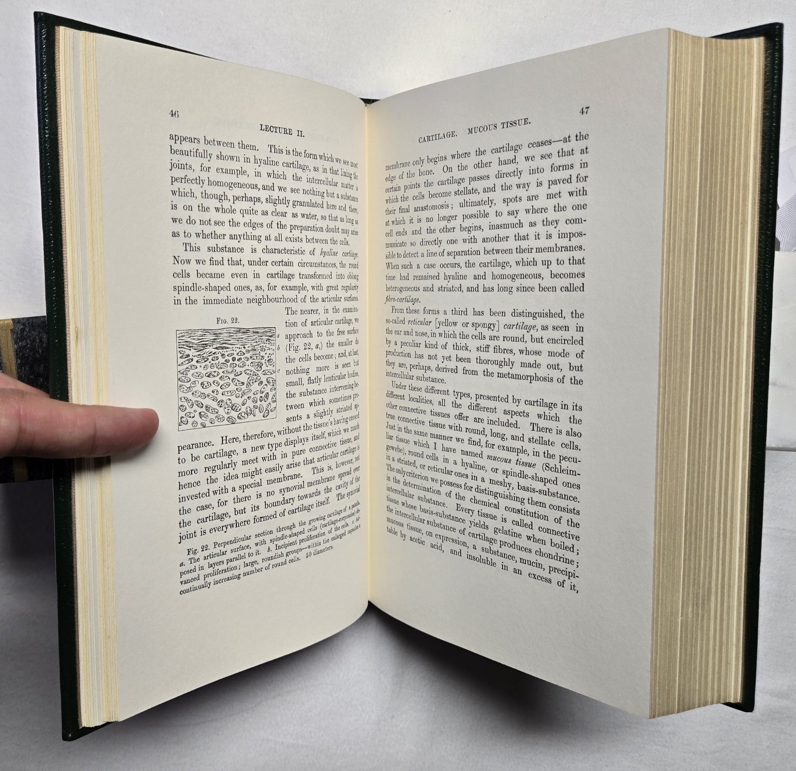 Cellular Pathology by Rudolph Virchow (The Classics of Medicine Library) 1978