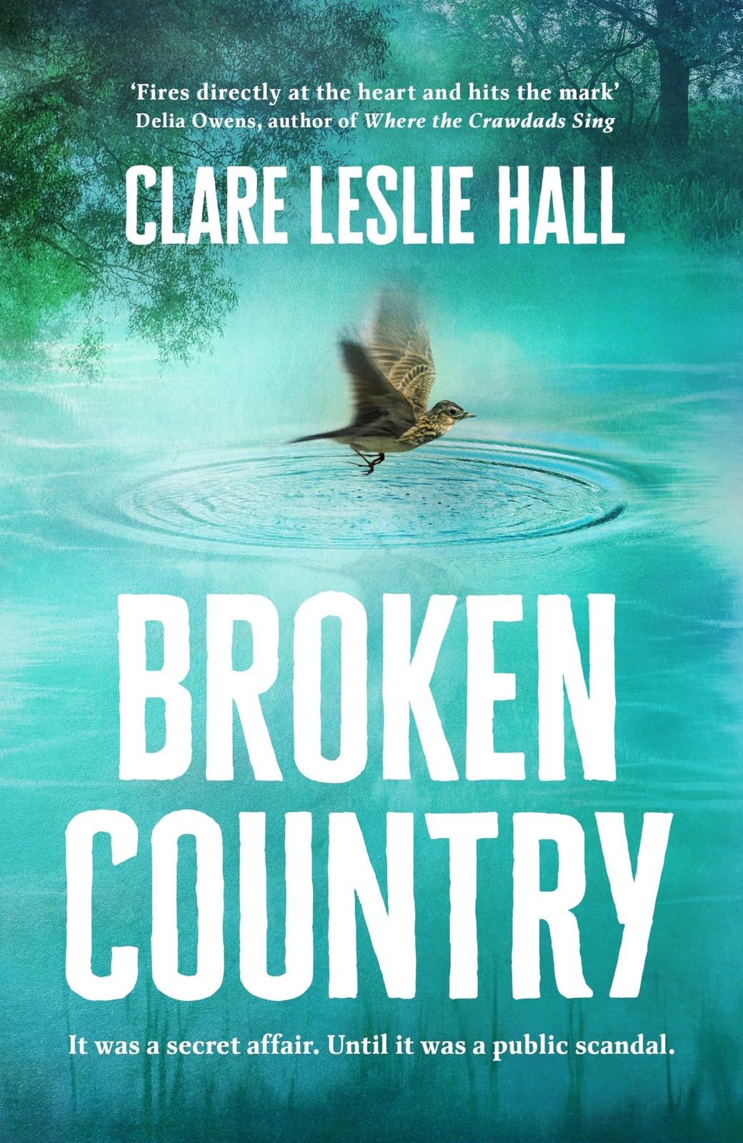 Broken Country by Clare Leslie Hall NEW Paperback