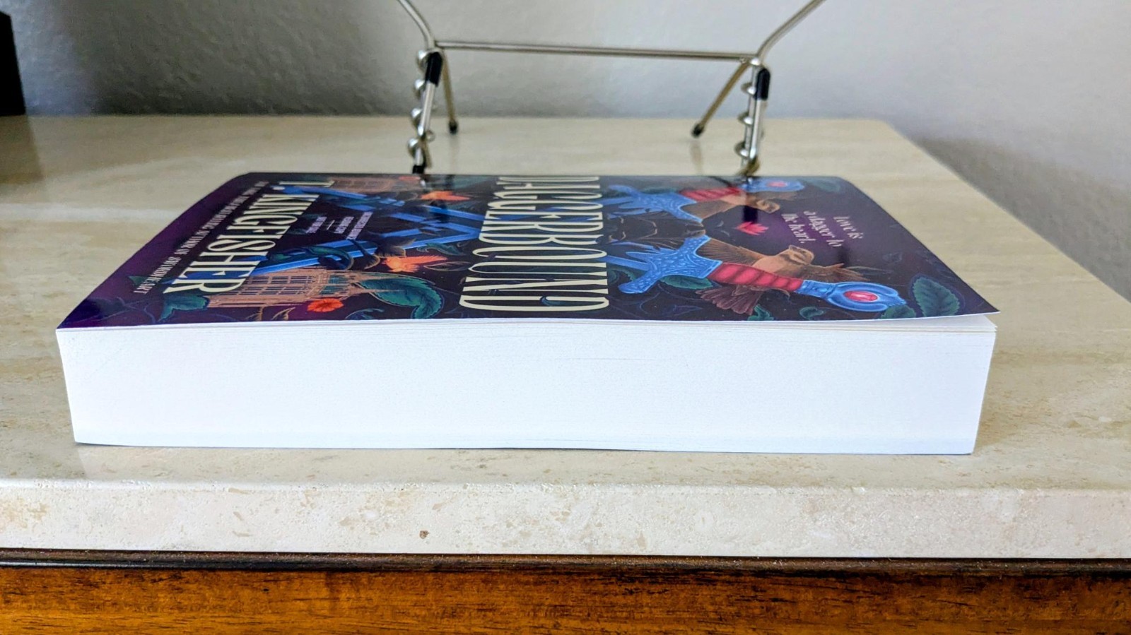 Daggerbound By T. Kingfisher (2026 ARC Advance Reader Copy) Paperback Unread