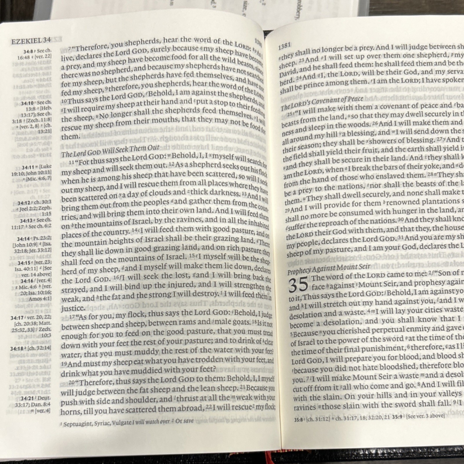 Cambridge Holy Bible English Standard Version Leather Bound Religious Bible