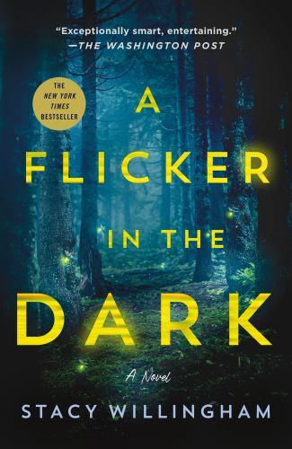 Flicker in the Dark : A Novel by Stacy Willingham (2023, Trade Paperback)