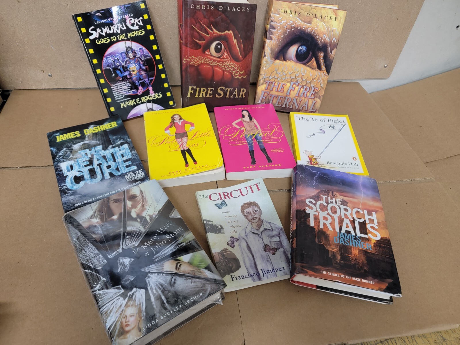 Lot of 20 Young Adults YA PRE-Teen Youth RANDOM STORY CHAPTER UNSORTED BOOKS MIX