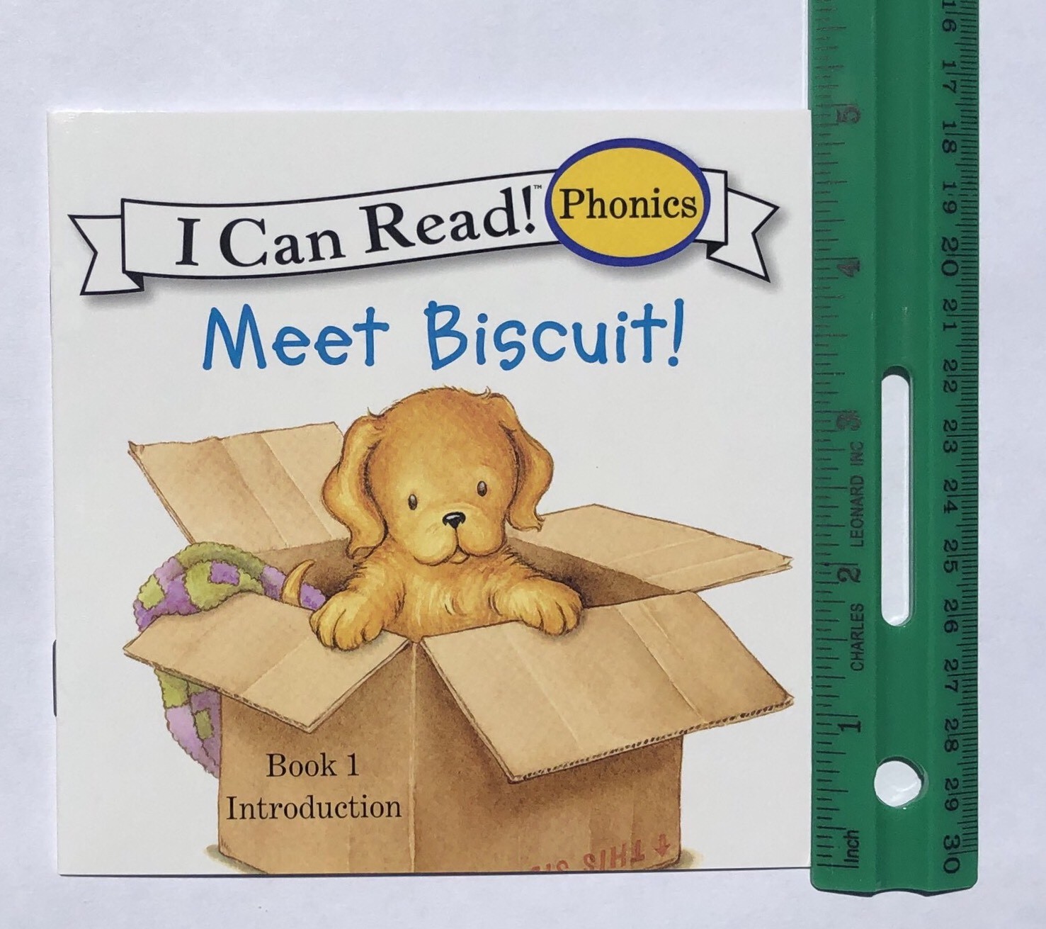 Biscuit (Short Vowels) and Biscuit More (Long Vowels) Childrens Books Lot 24