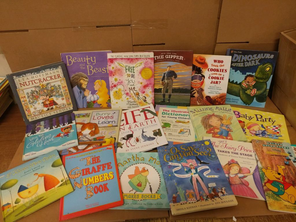 5 LBS (Pounds) Kids Children Books by Genre BOARD TODDLER CHAPTER STORYTIME SET