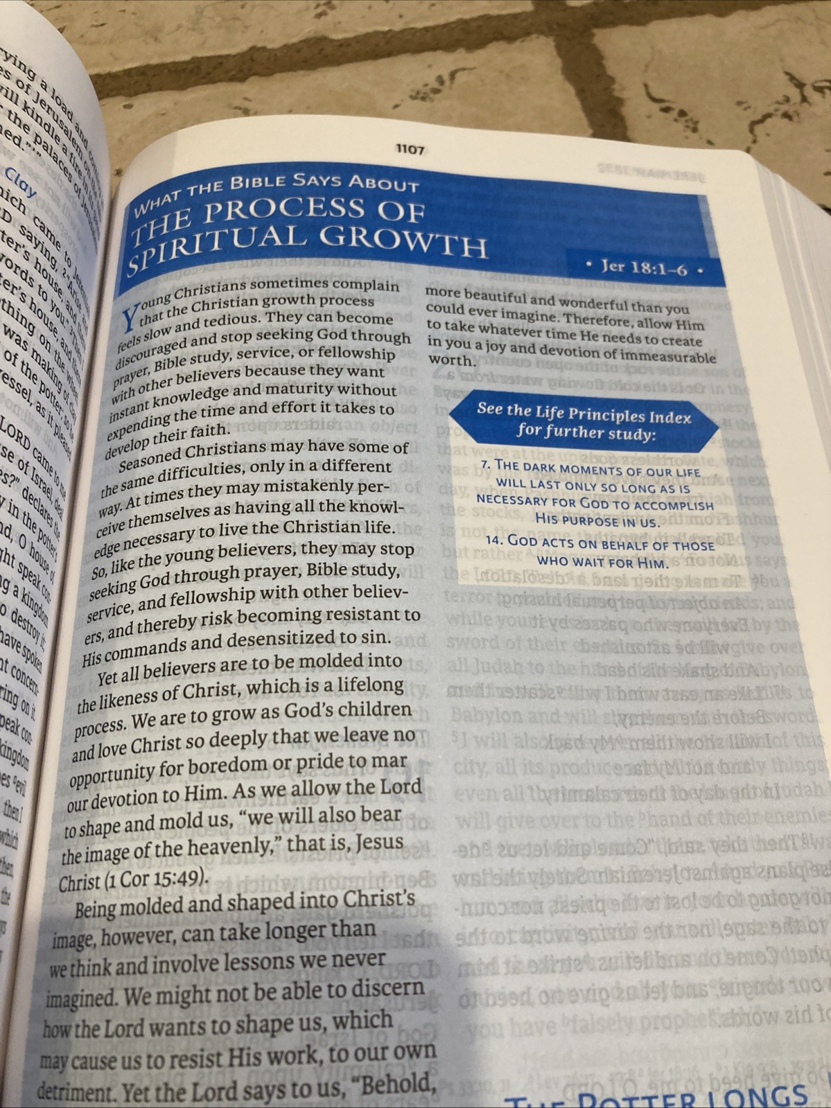 NASB Charles F. Stanley Life Principles Bible BLACK LEATHER SOFT